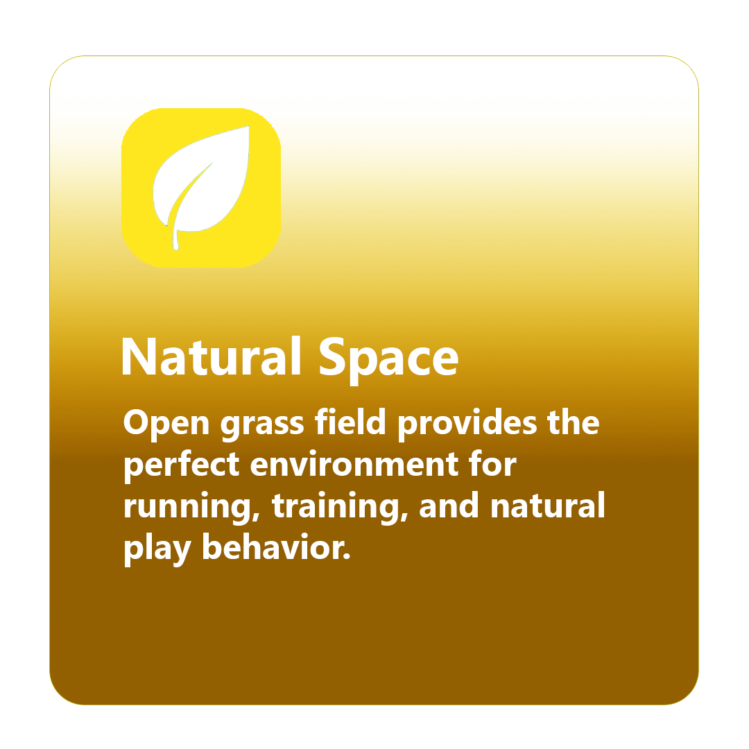 Natural Space.png