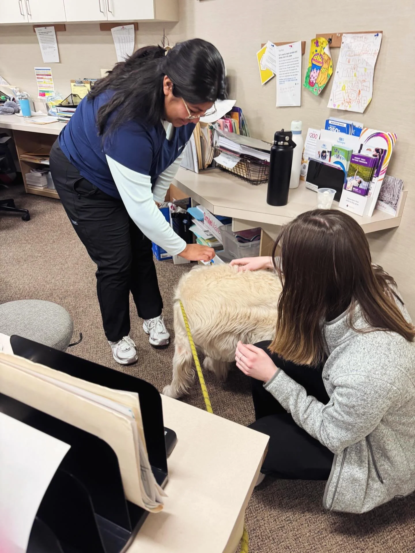 🦮👩🏻&zwj;⚕️🐾