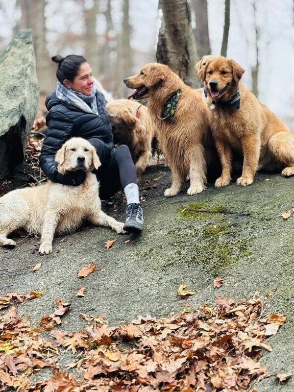Adventure Pack. A woman sitting on a mossy rock in a fall forest, surrounded by four golden retriever dogs.