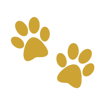 Two gold paw prints on a black background.