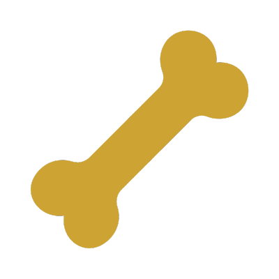 Simple illustration of a bone in gold color on a black background.