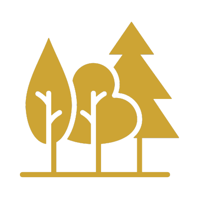Gold silhouette of trees including a pine, a broadleaf, and a rounded shrub on a black background.
