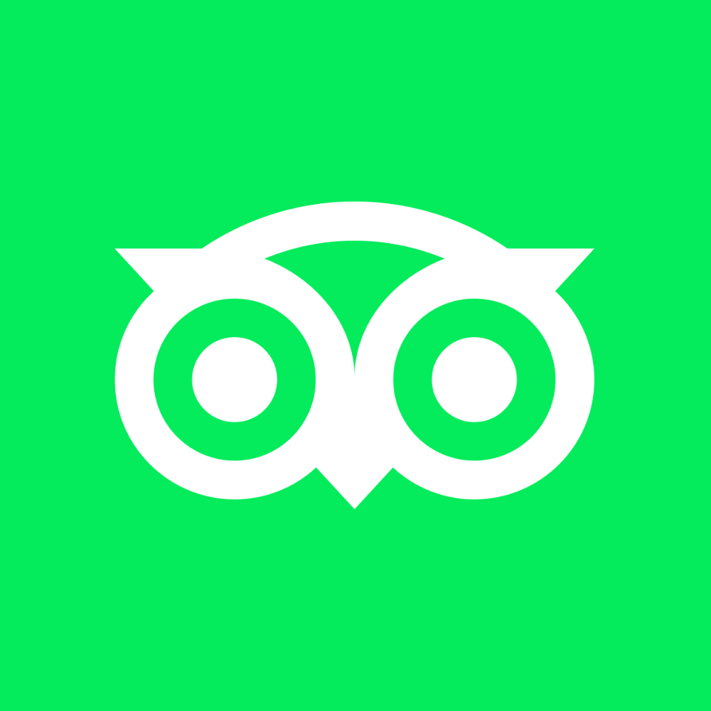 White owl logo on a bright green background.