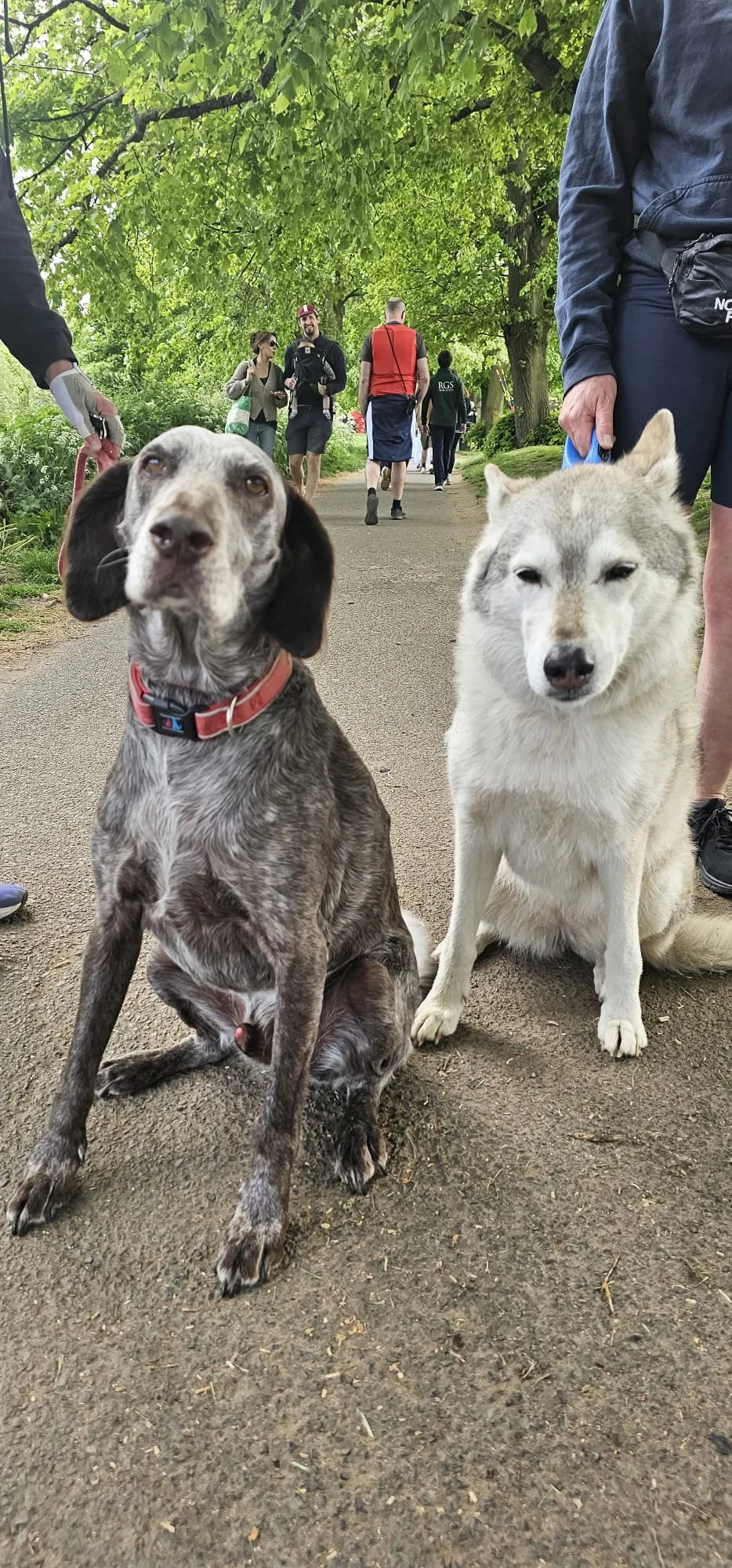 WhatsApp Image 2025-05-03 at 15.30.20.jpeg