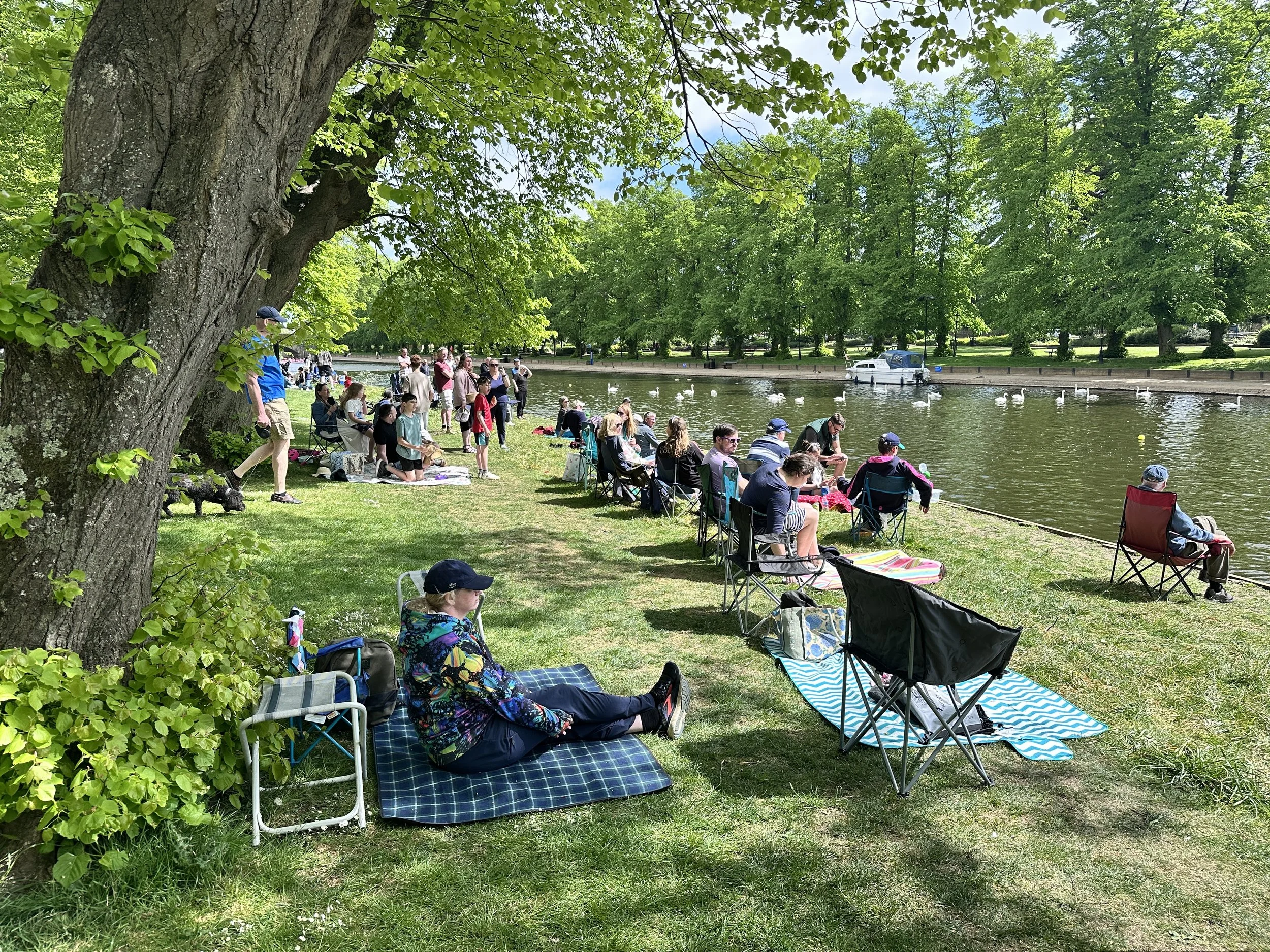 Lazy summer days watching the rowers race... it doesn't get better than that!