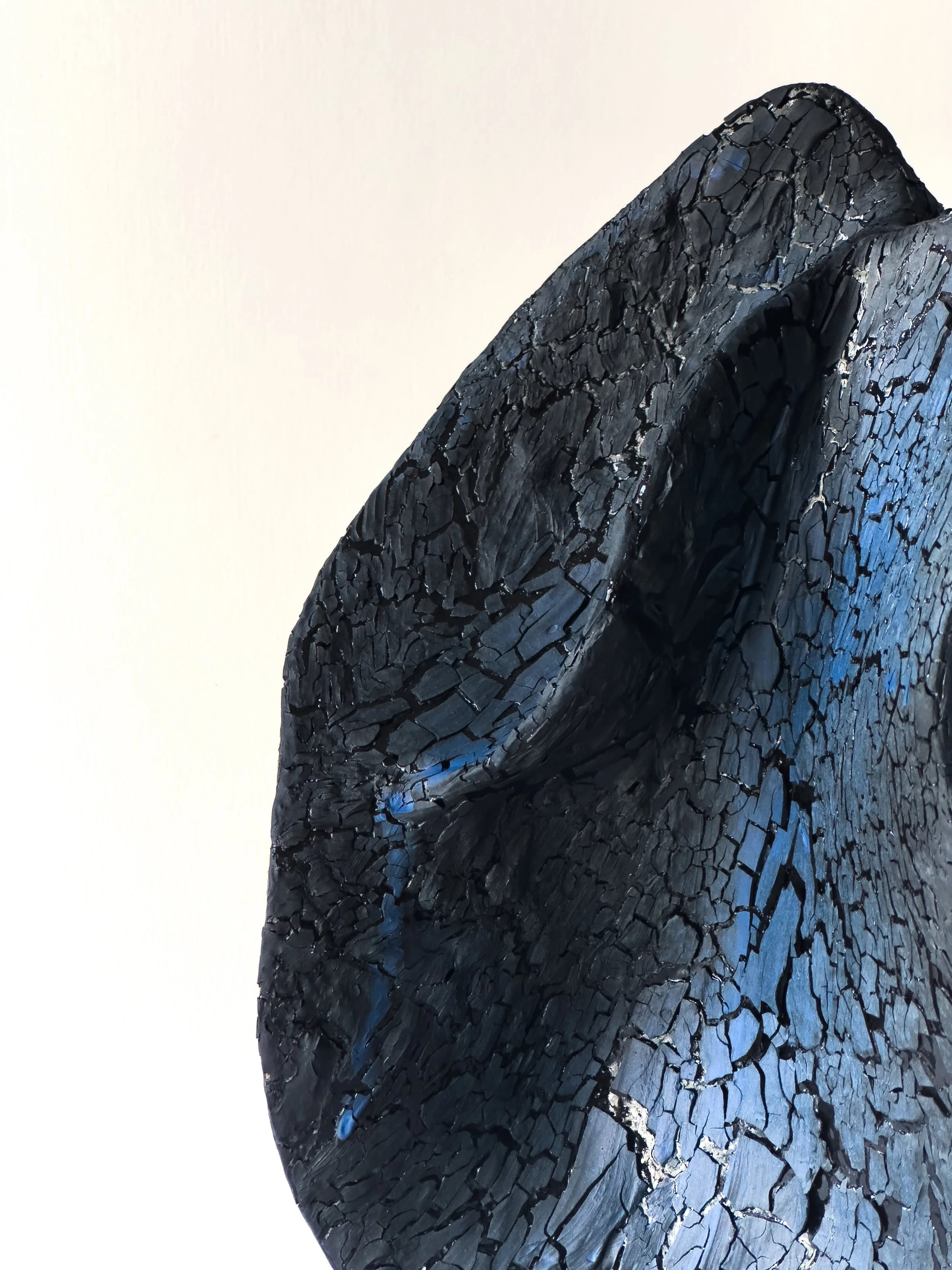 Close-up of a blackened, charred piece of wood.