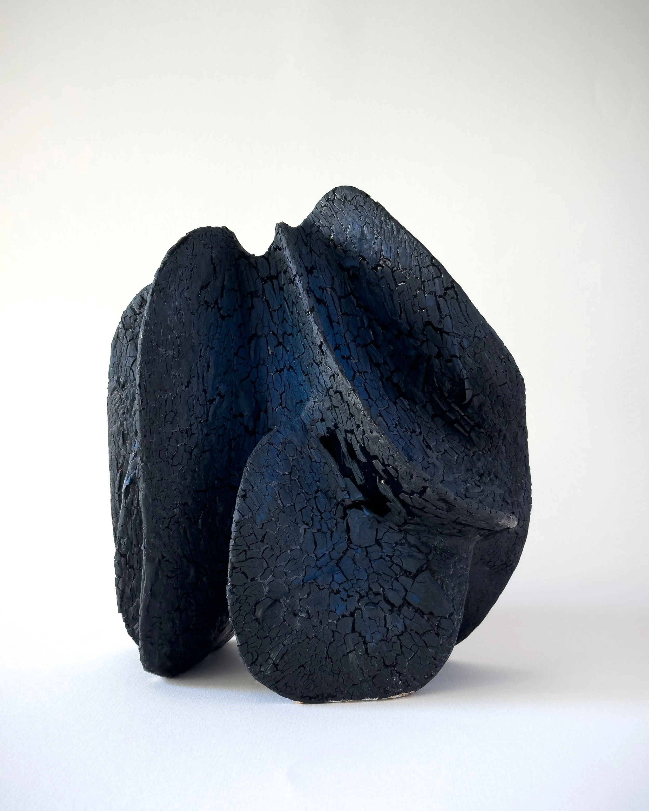 Black, cracked, abstract sculpture with organic, flowing shapes on a white background.