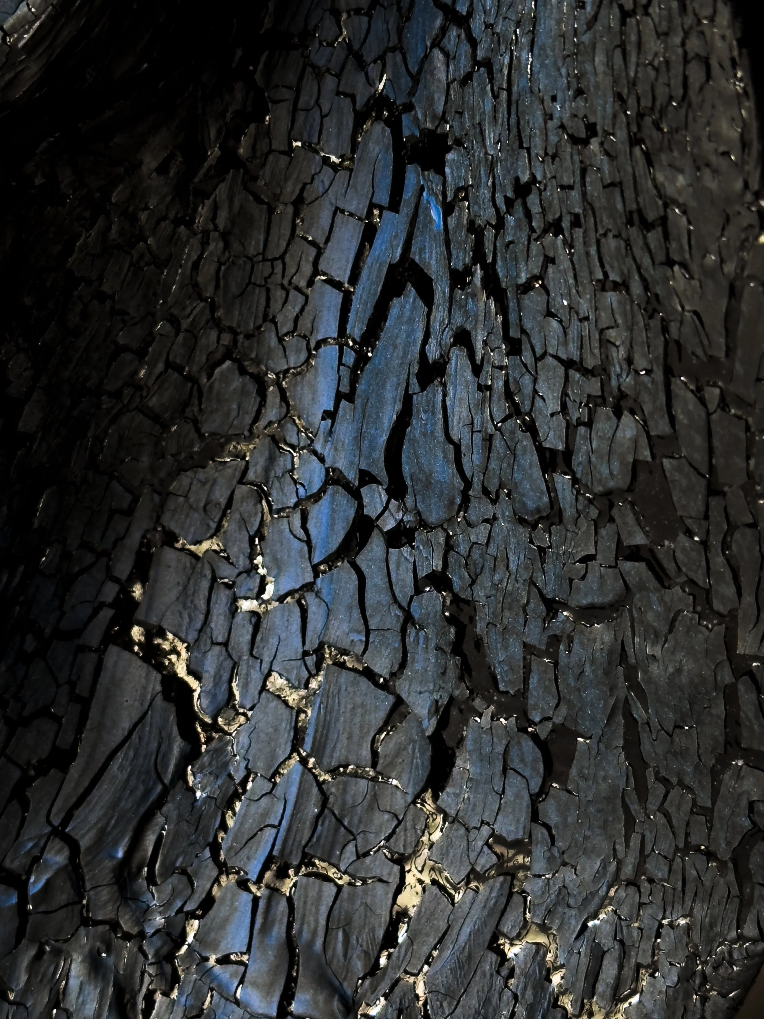Close-up of black, charred wood with cracked and peeling surface.