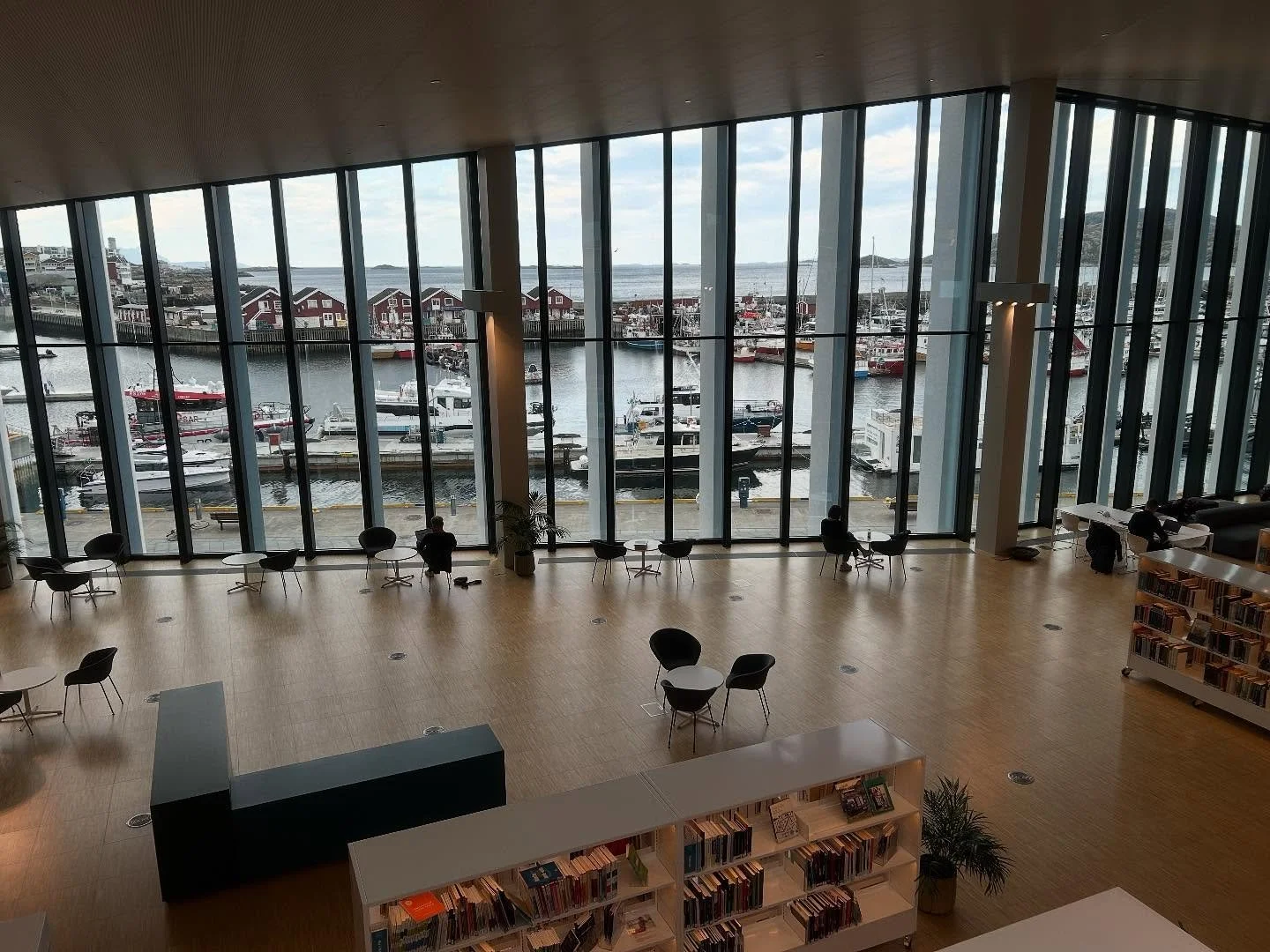 I love a library and have  borrowed books since I was 5 years old. The first ones I ever borrowed were The Tale of Mrs Tiggywinkle and Barba the Elephant - I&rsquo;ve borrowed a few thousand since! 
This is an amazing library in Bod&oslash; north of 