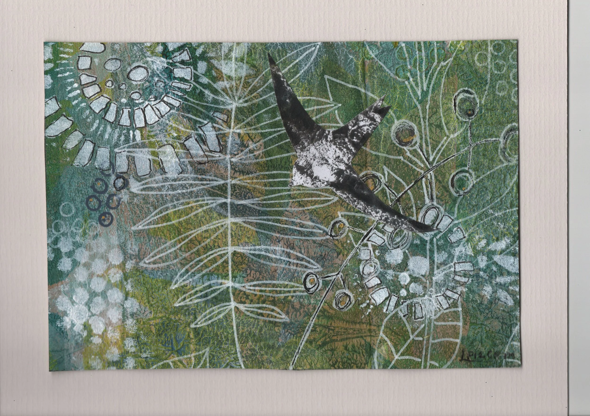 ‘My Lovely Postcards’