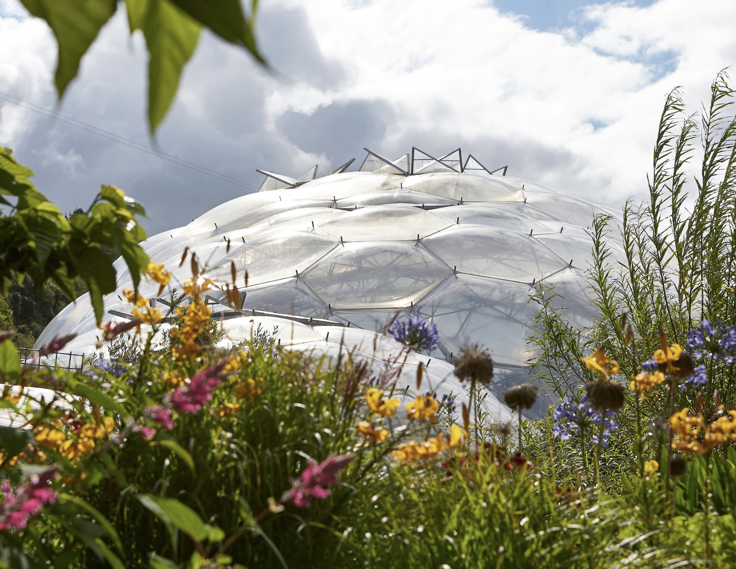 A large glass greenhouse with multiple domed sections surrounded by colorful wildflowers and green plants, under a partly cloudy sky.