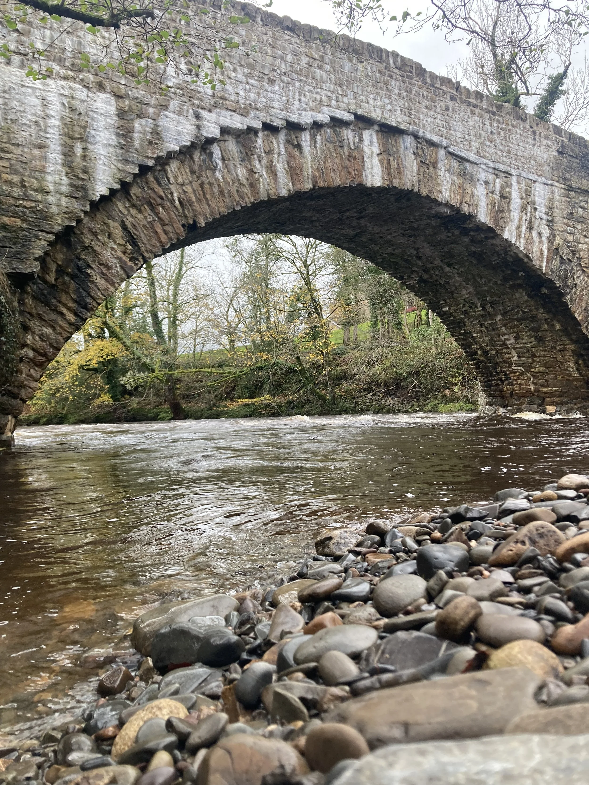 A stone bridge over a river with a rocky shoreline in the foreground and trees in the background.