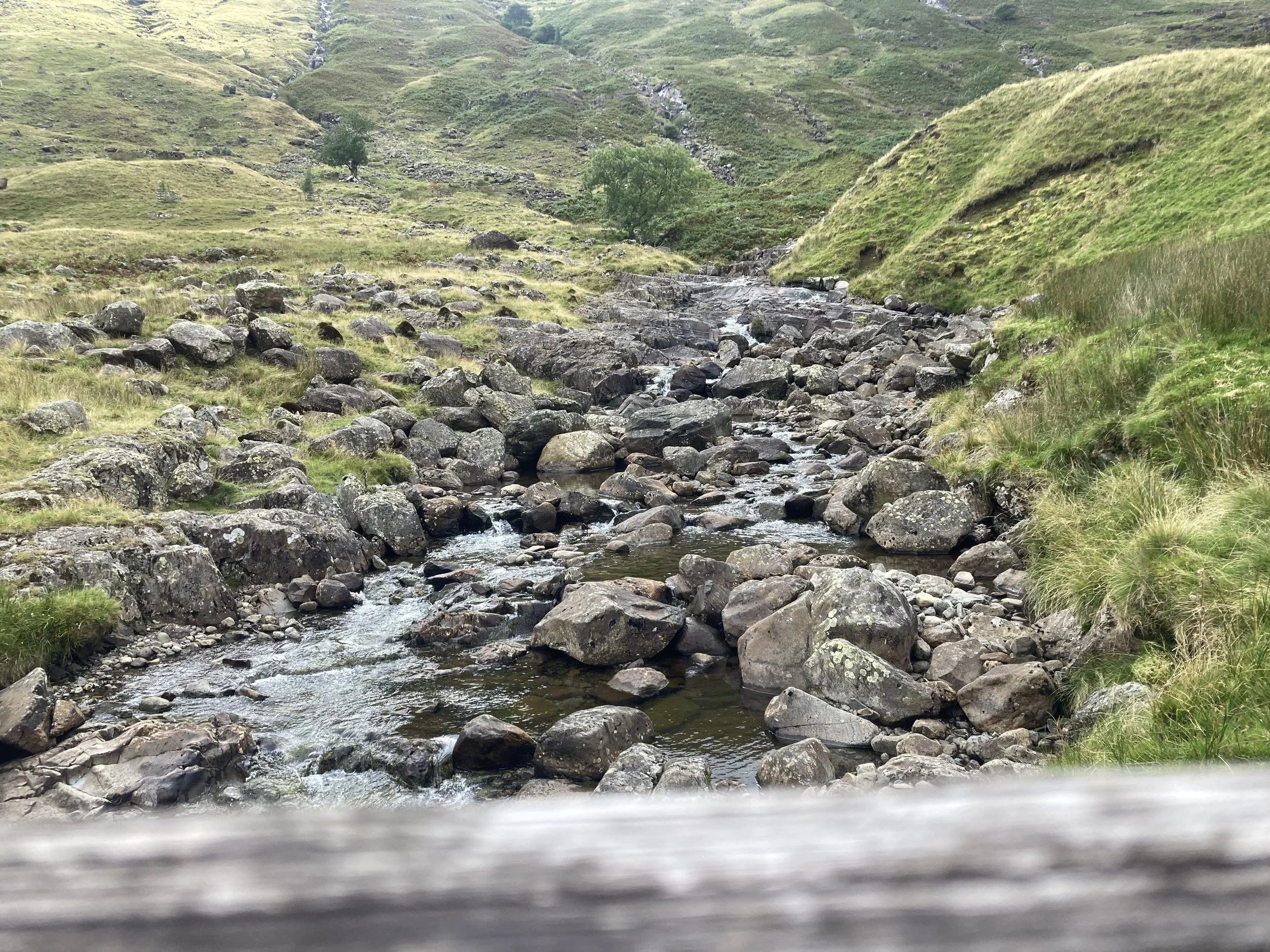 A rocky stream flowing through a grassy valley with green hills and scattered trees in the background.