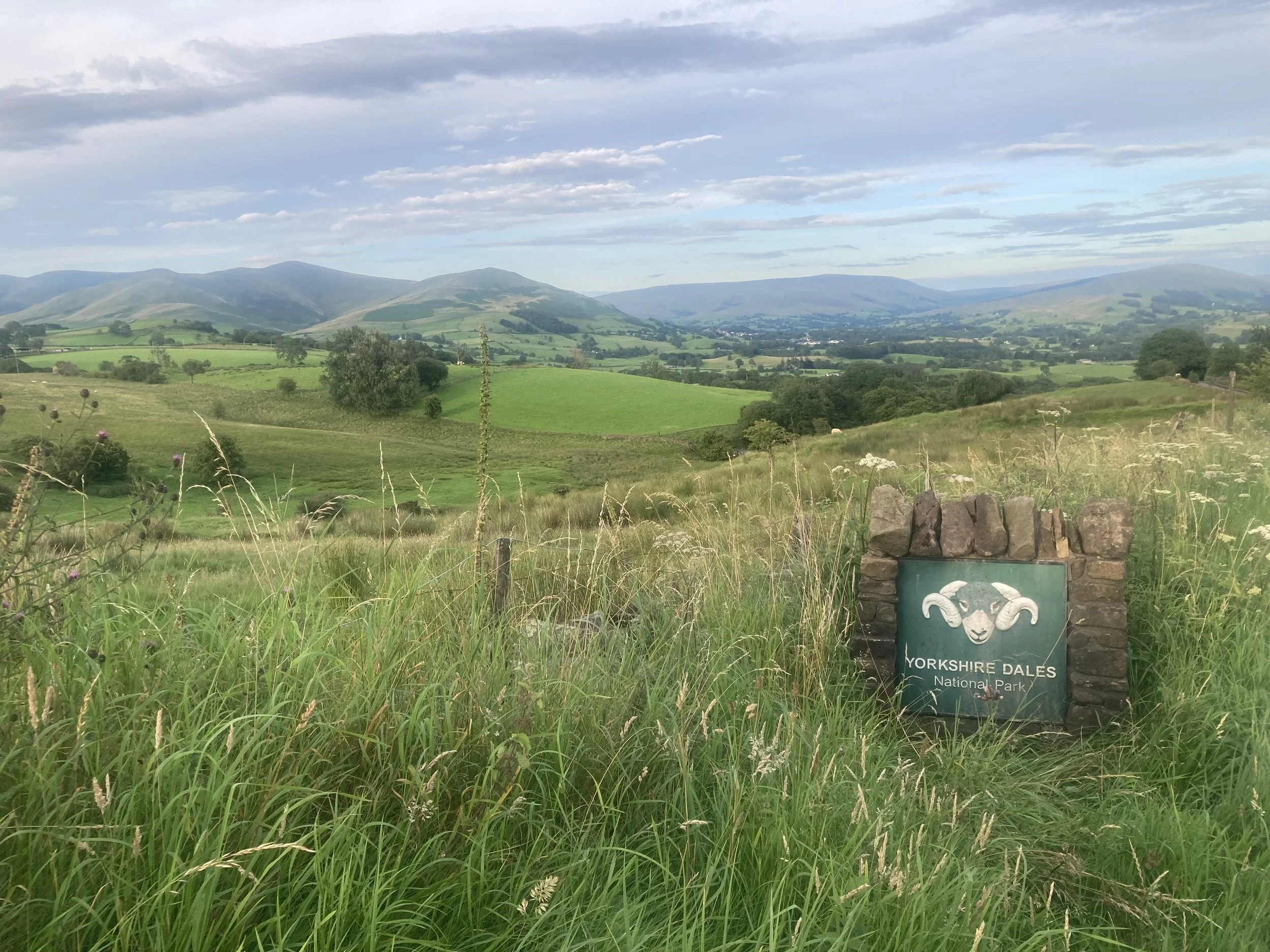Scenic view of rolling green hills and mountains in Yorkshire Dale's National Park with a sign featuring a ram's head in the foreground surrounded by tall grass.