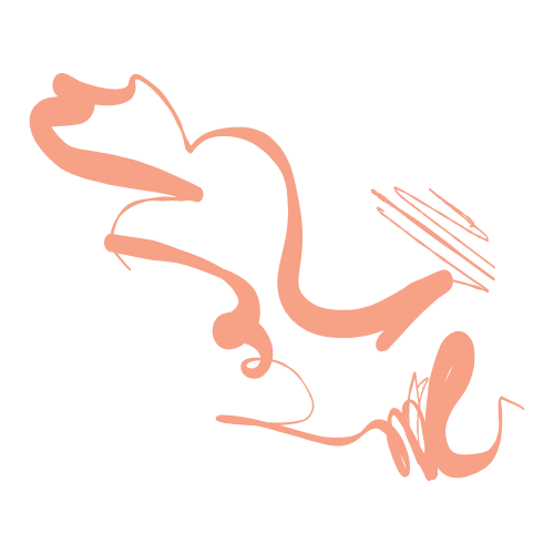 A stylized illustration of a human digestive system in pink, including the stomach, small intestine, and large intestine, with lines indicating the path of digestion.