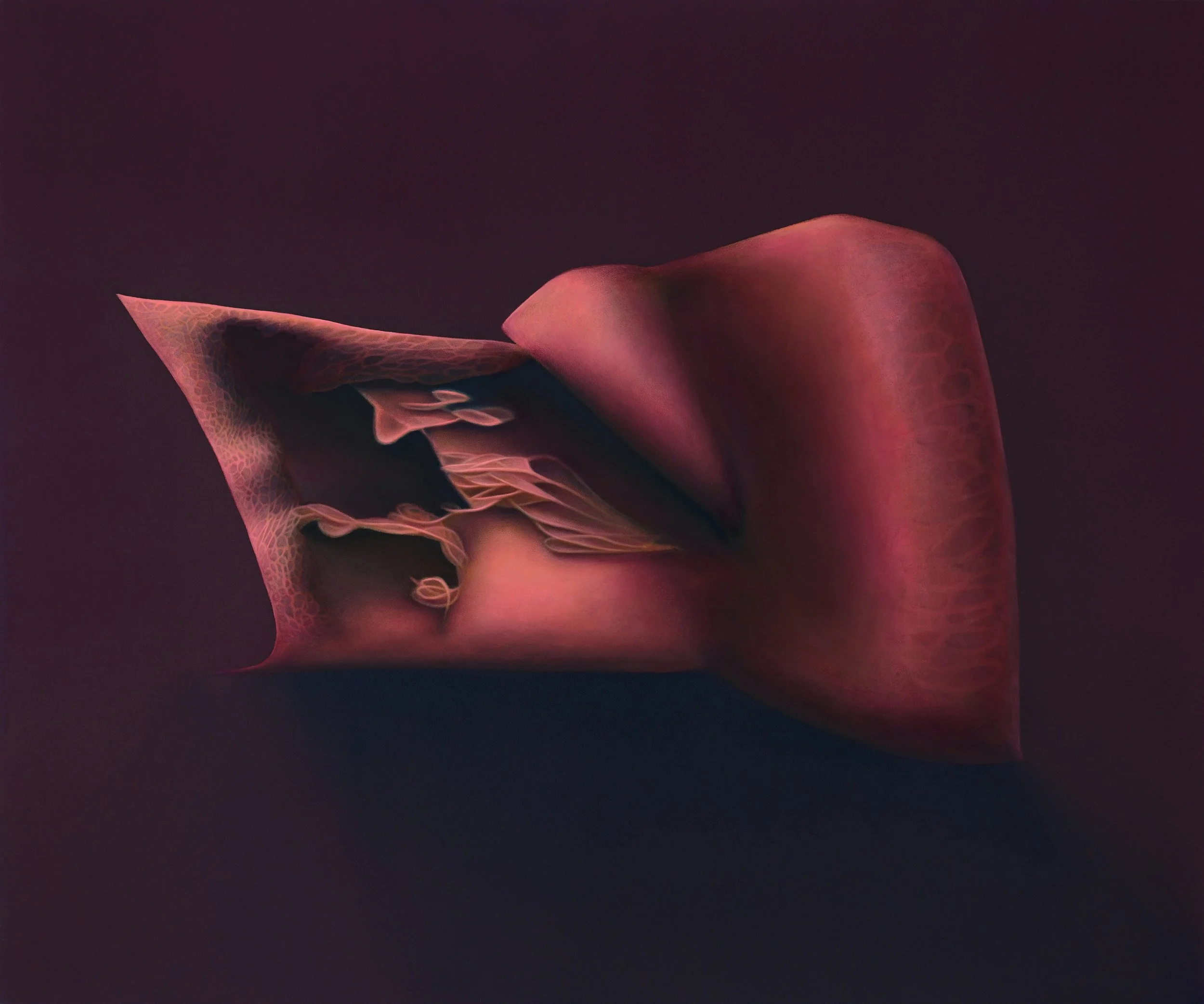 LesleyBunch_ShadowSculpture34_oilonaluminium_60cmx50cm_2024.jpg