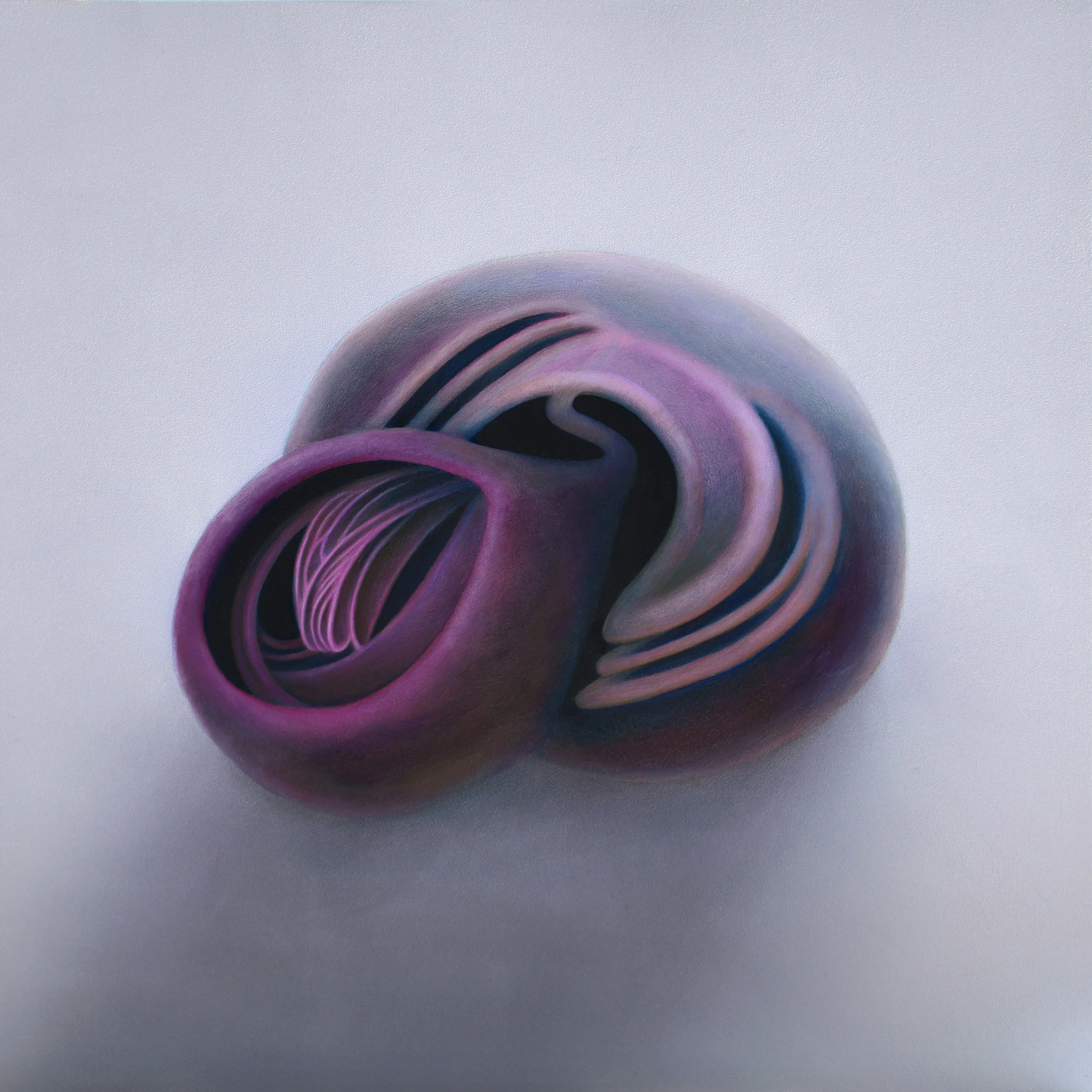 LesleyBunch_ShadowSculpture37_30cmx30cm_oilonaluminium_2024.jpg