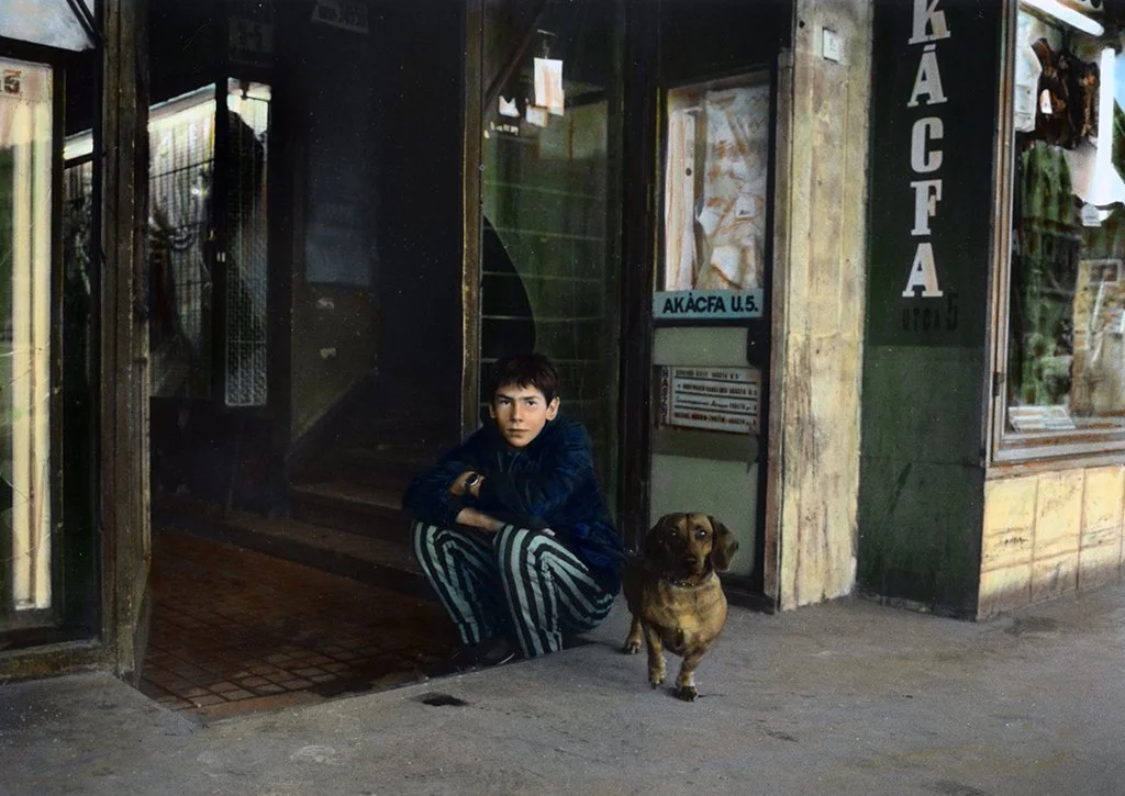 A young boy crouching on the sidewalk next to a small brown dog outside a shop or cafe with a glass door and window.