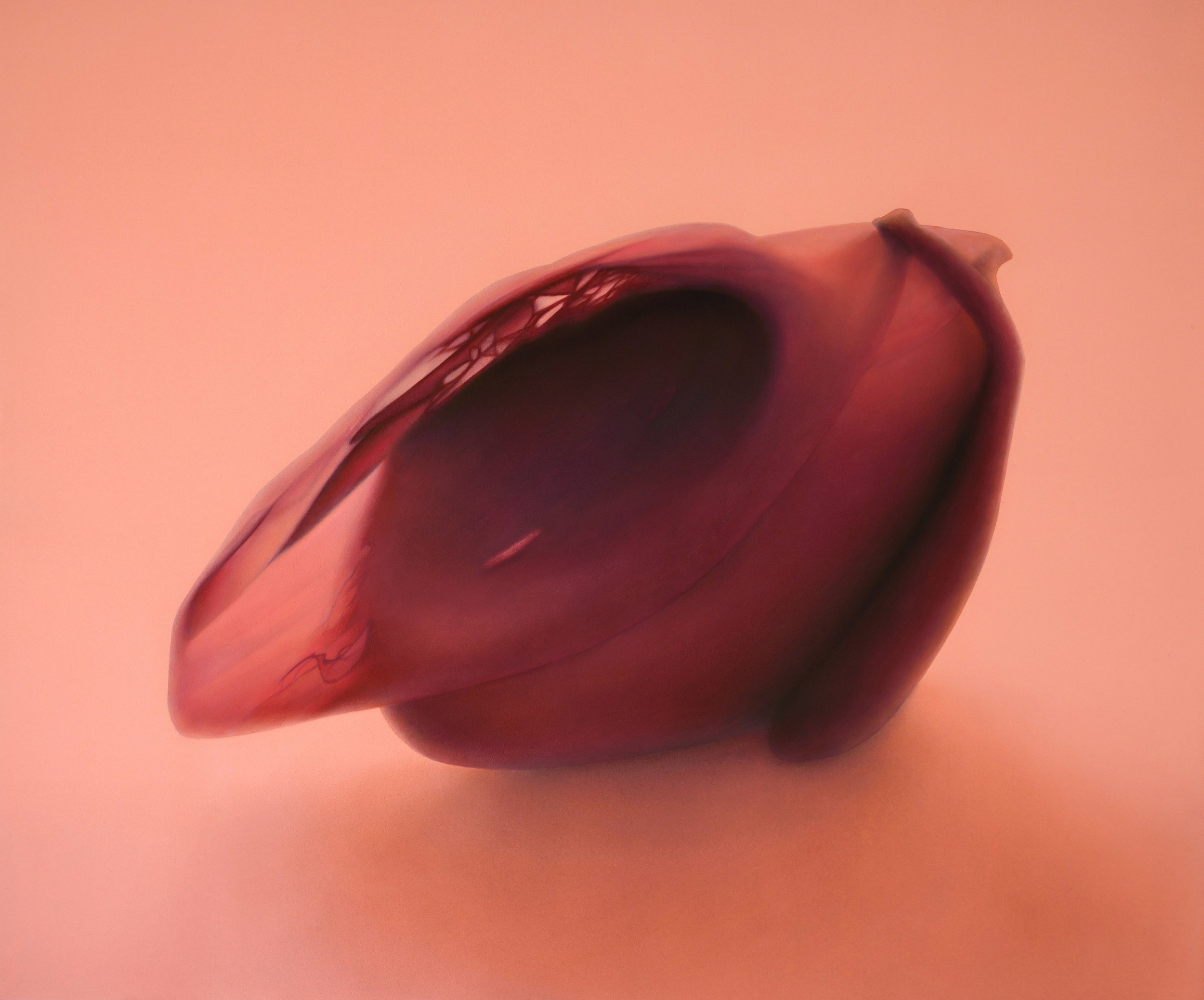 LesleyBunch_ShadowSculpture41_oilonaluminium_60cmx50cm_2025.jpg