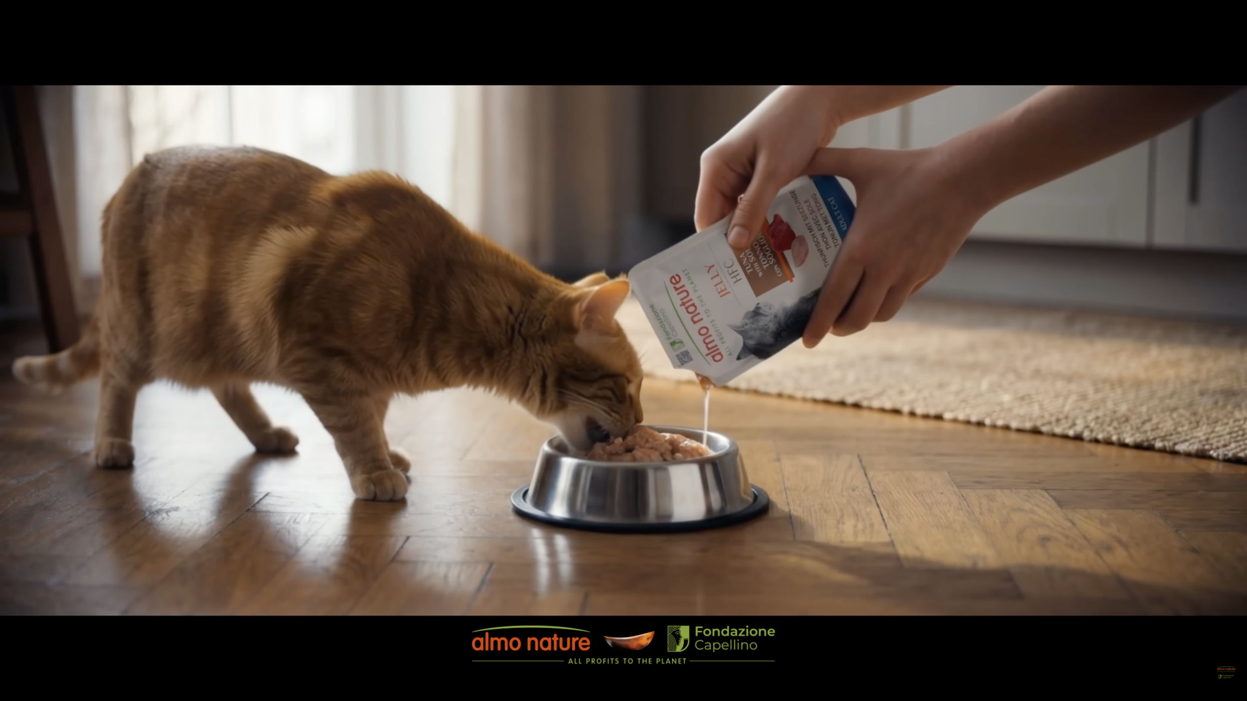 "La nostra migliore qualità per il tuo gatto " -Almo Nature  (Official TV spot)

* Full AI