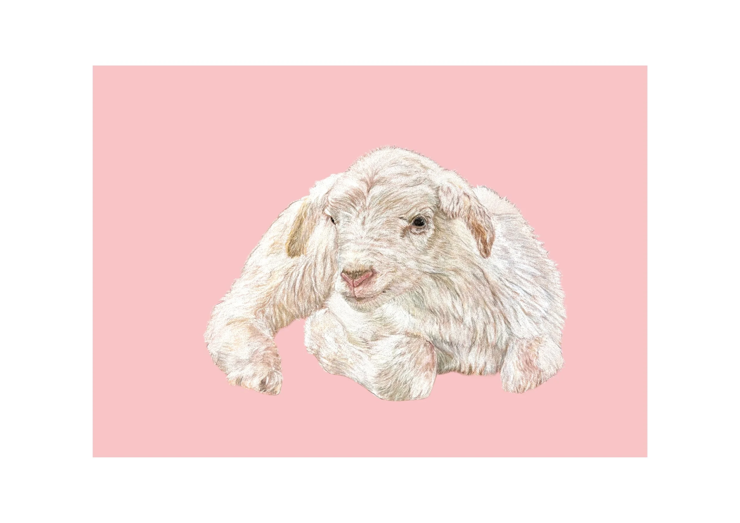 Untitled design (29).jpg