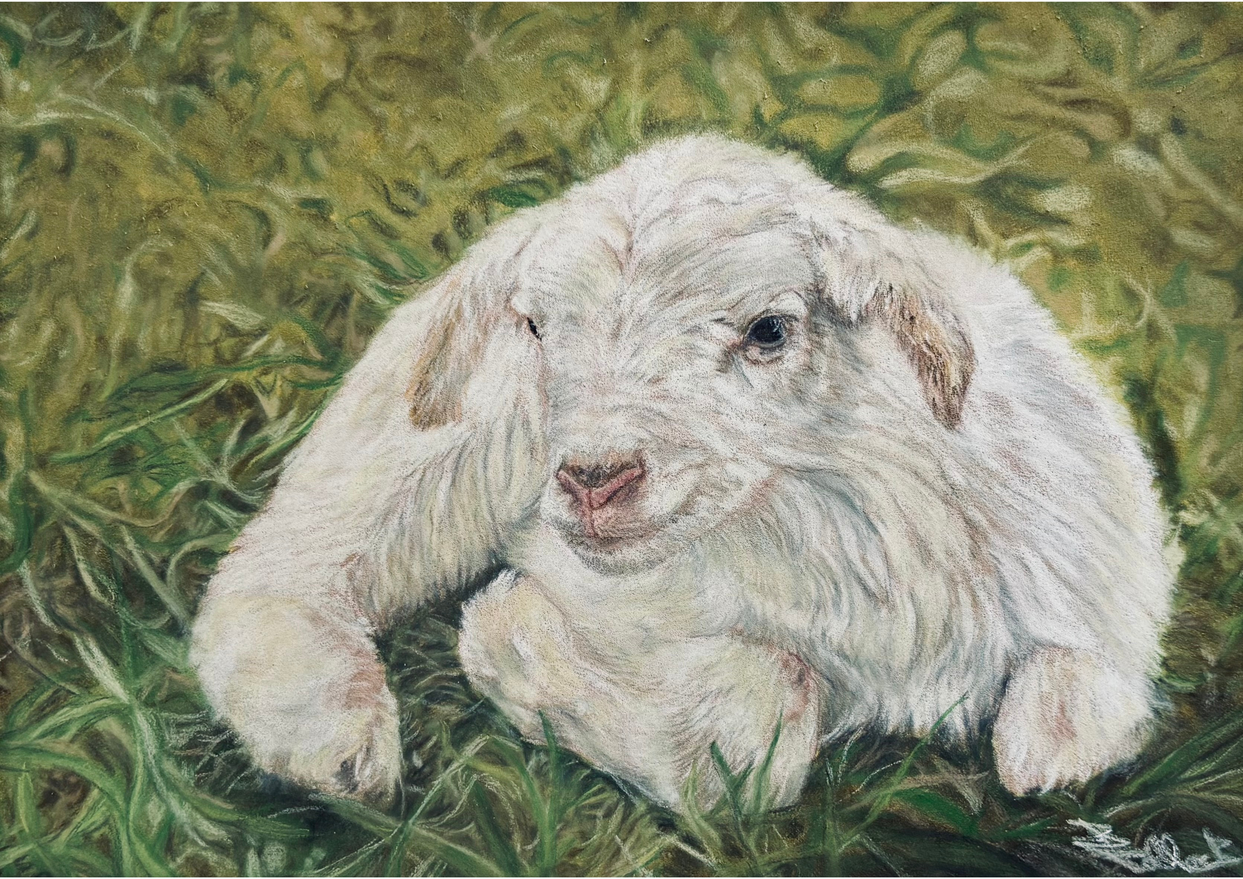 Wee Lamb.png