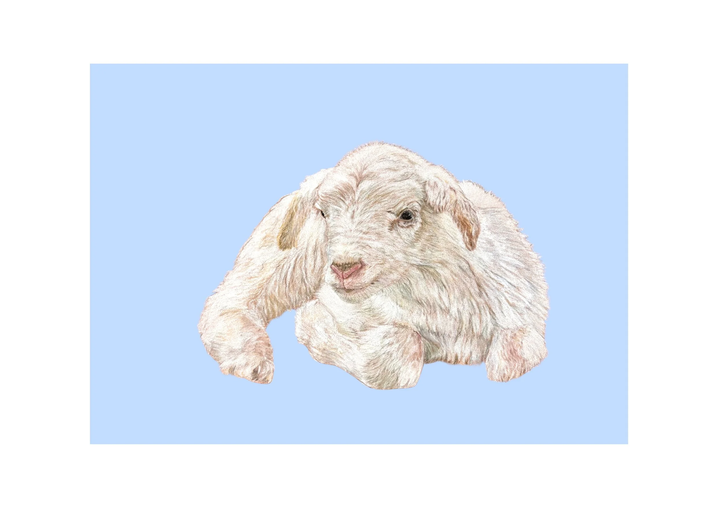 Untitled design (31).jpg