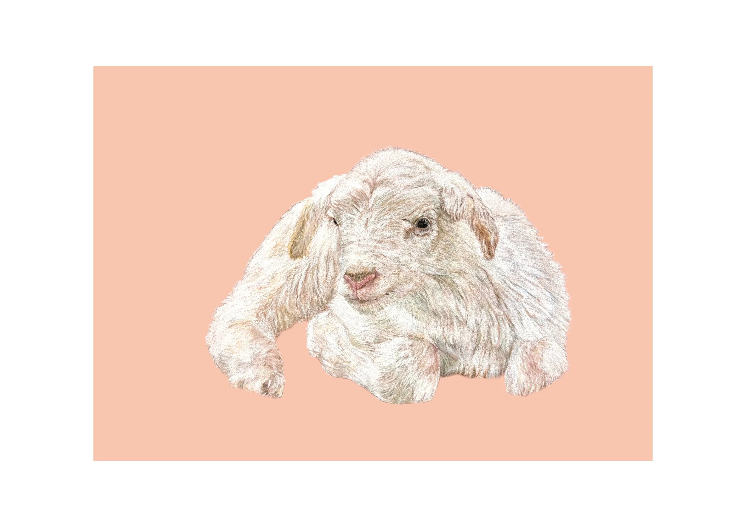 Untitled design (30).jpg