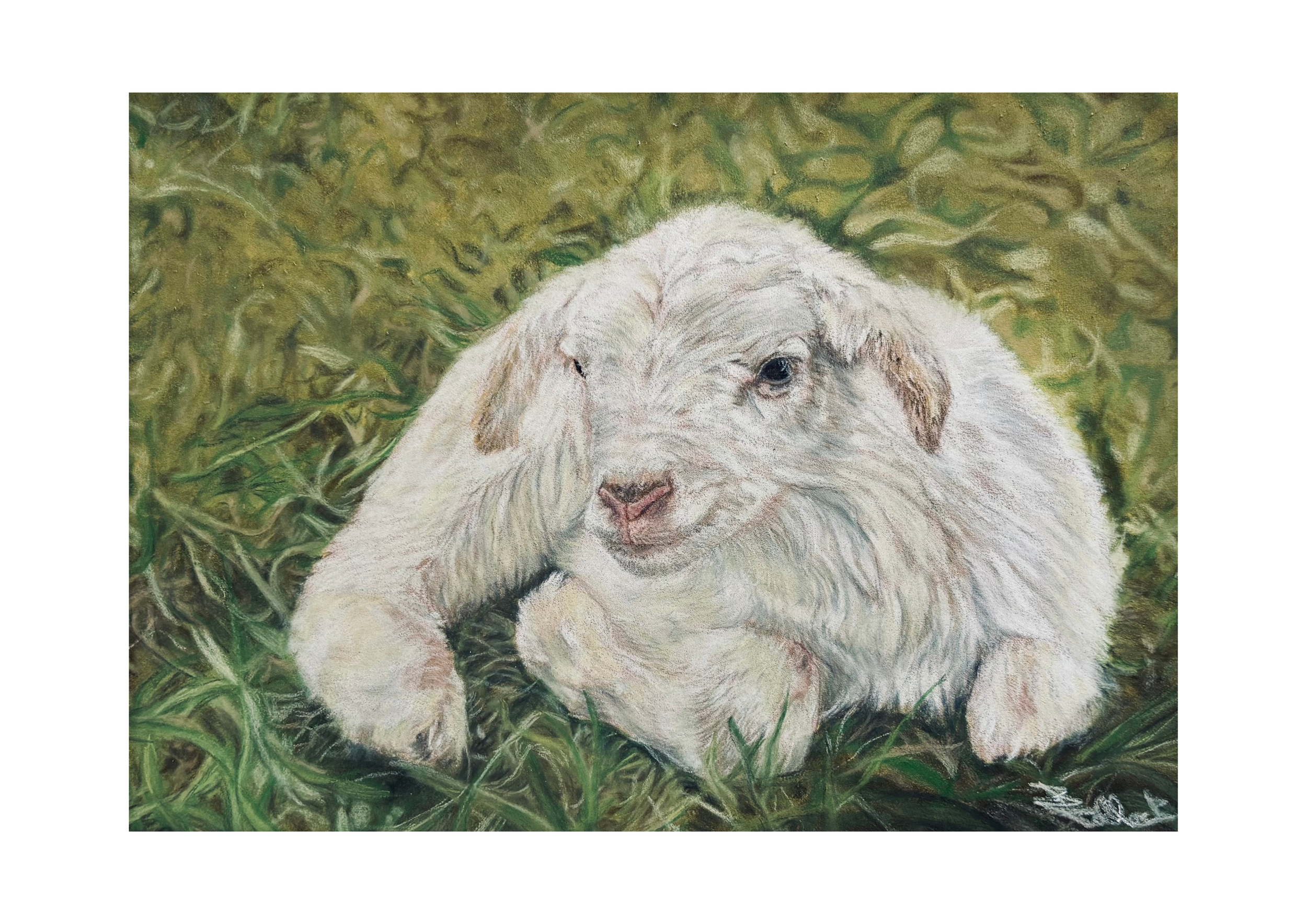 Wee Lamb (with background)