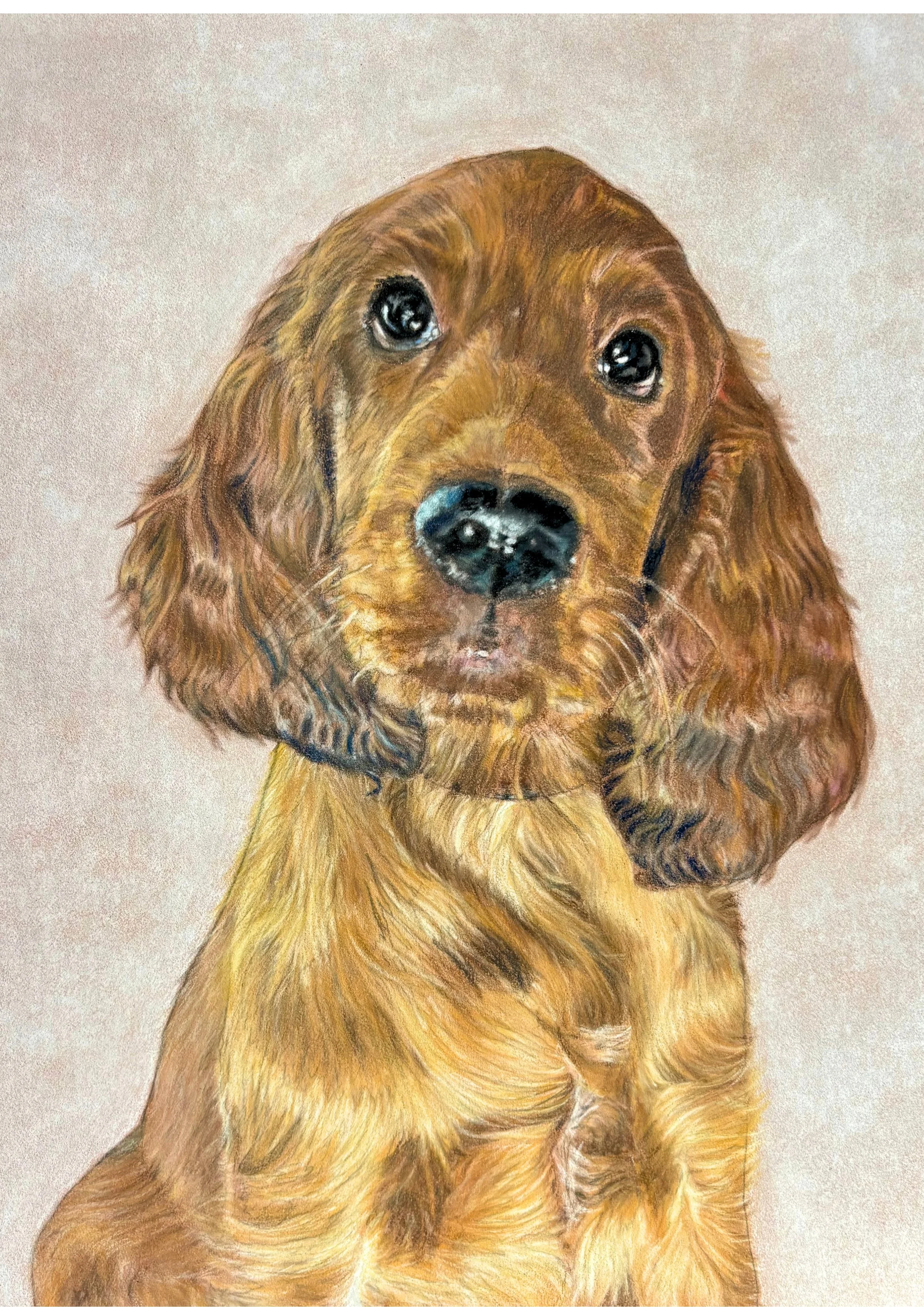 Monty