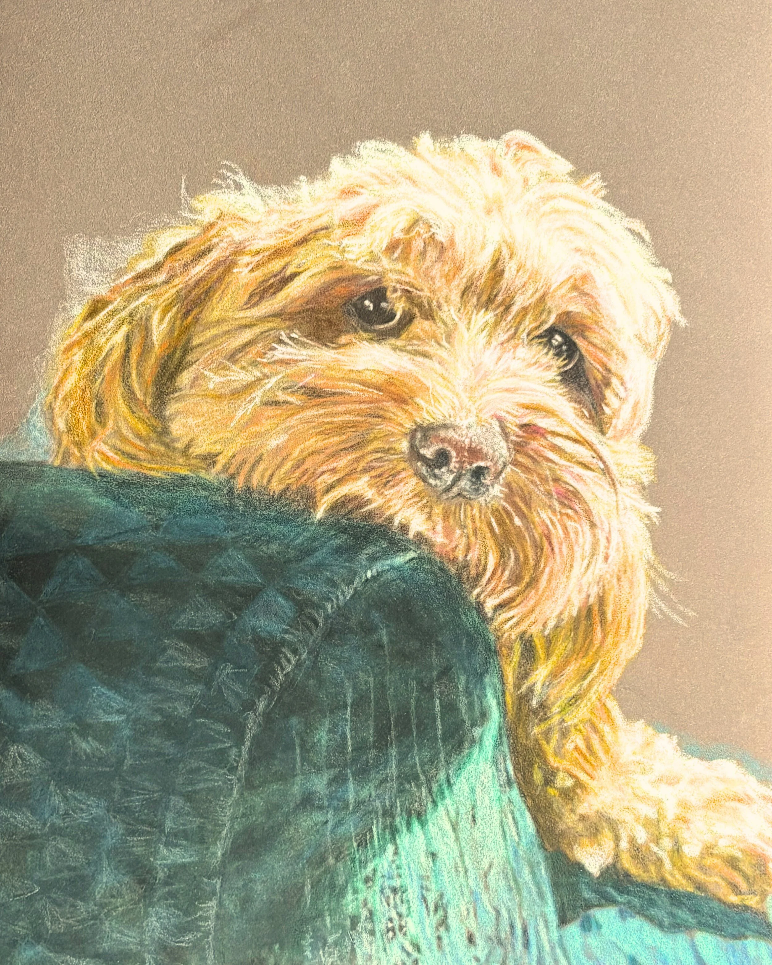 Pet Portrait.2026.coloured pencil on pastelmat 360g/m2 - 24 x 30 cm / 9.5 x 12 in.