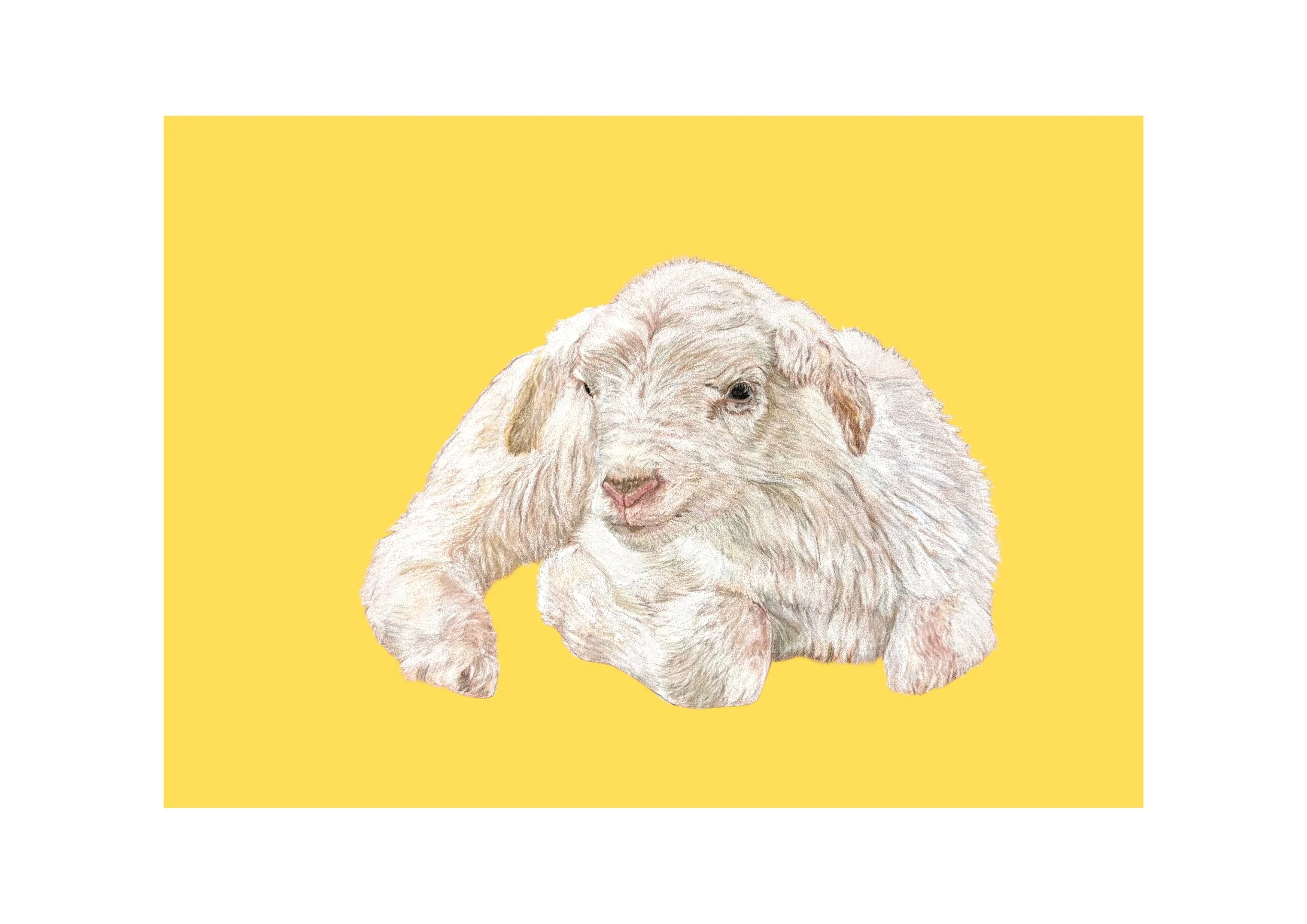 Untitled design (28).jpg