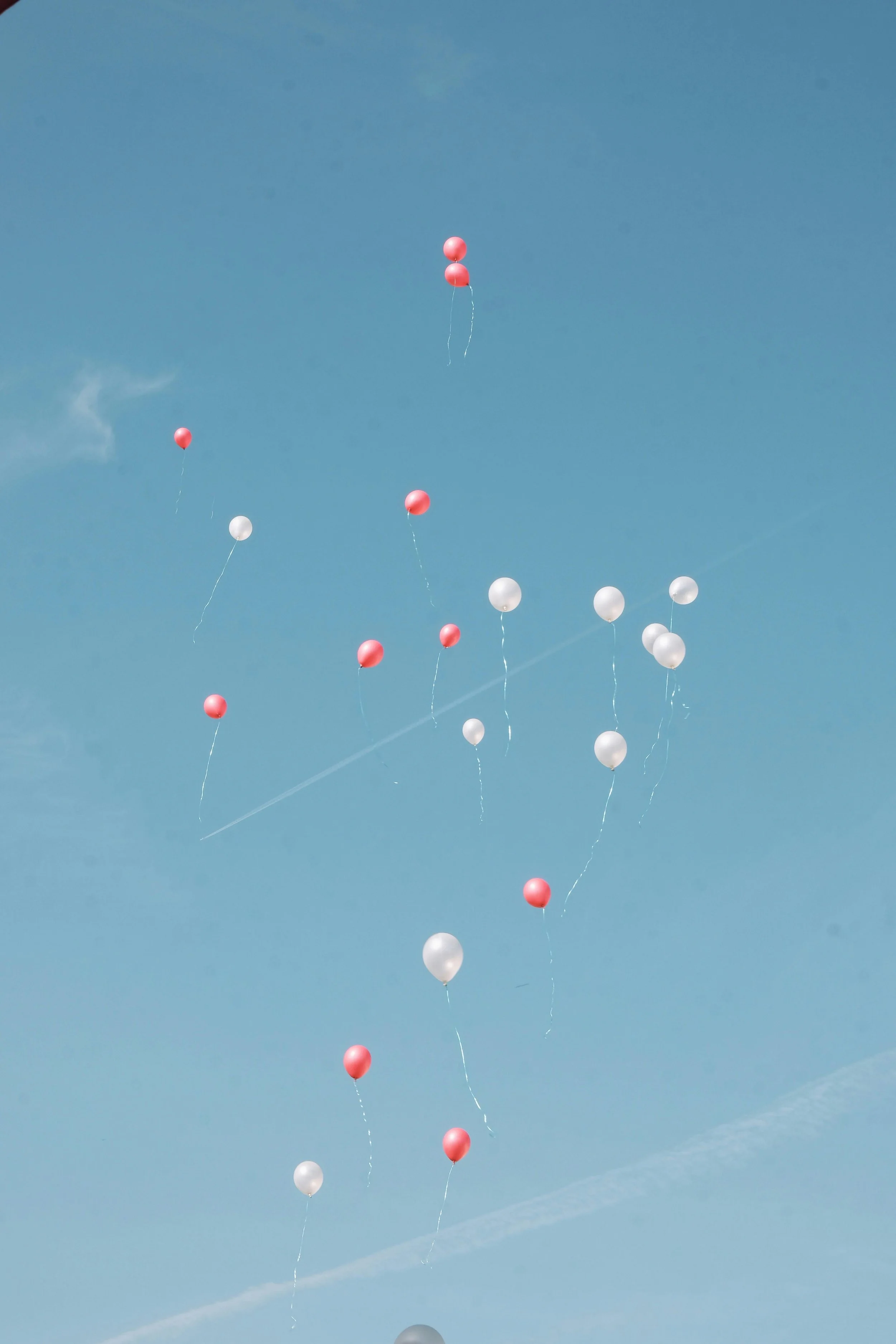 A group of pink and white balloons floating in a blue sky, some tied together with strings.