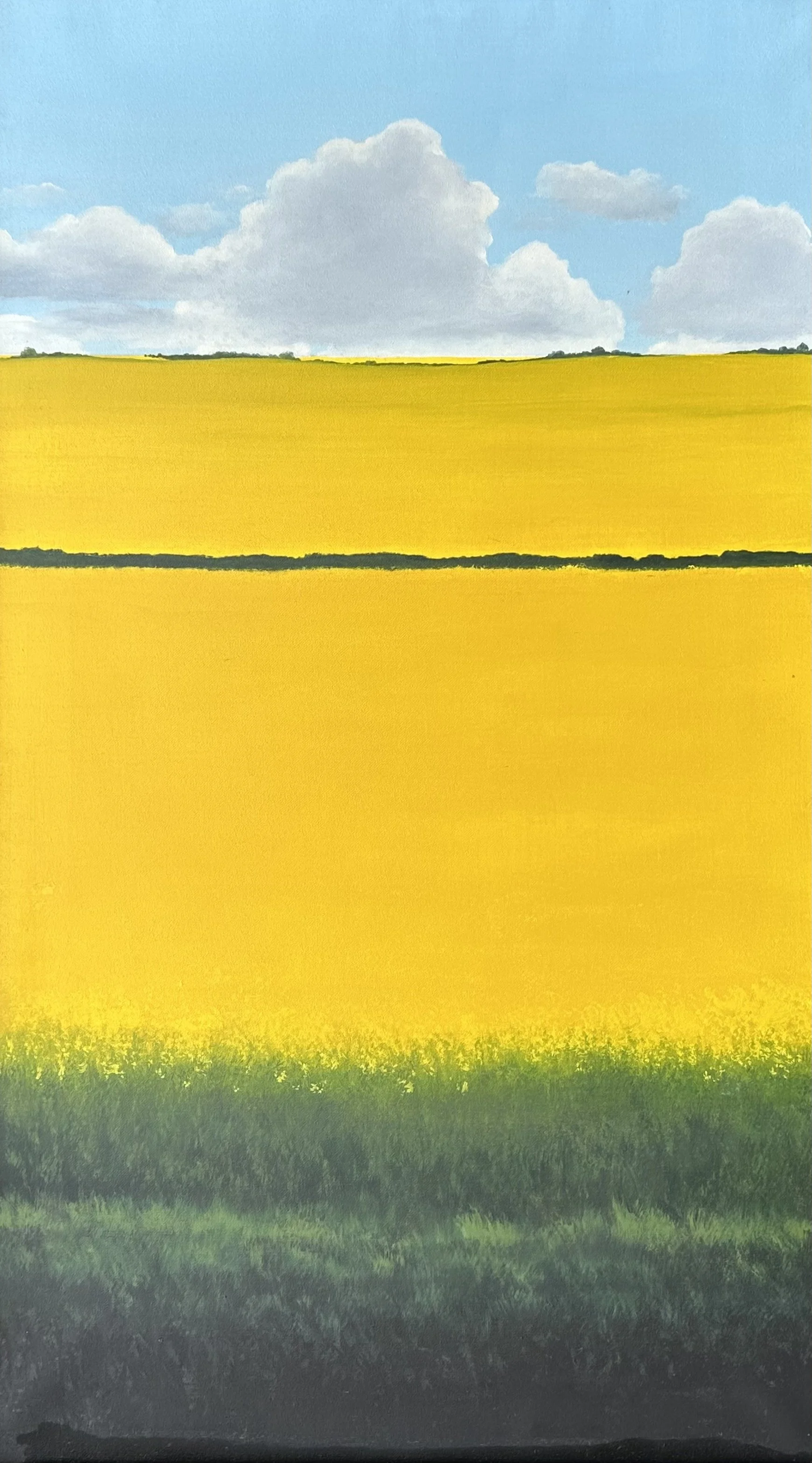 Rape Field: P67 SOLD