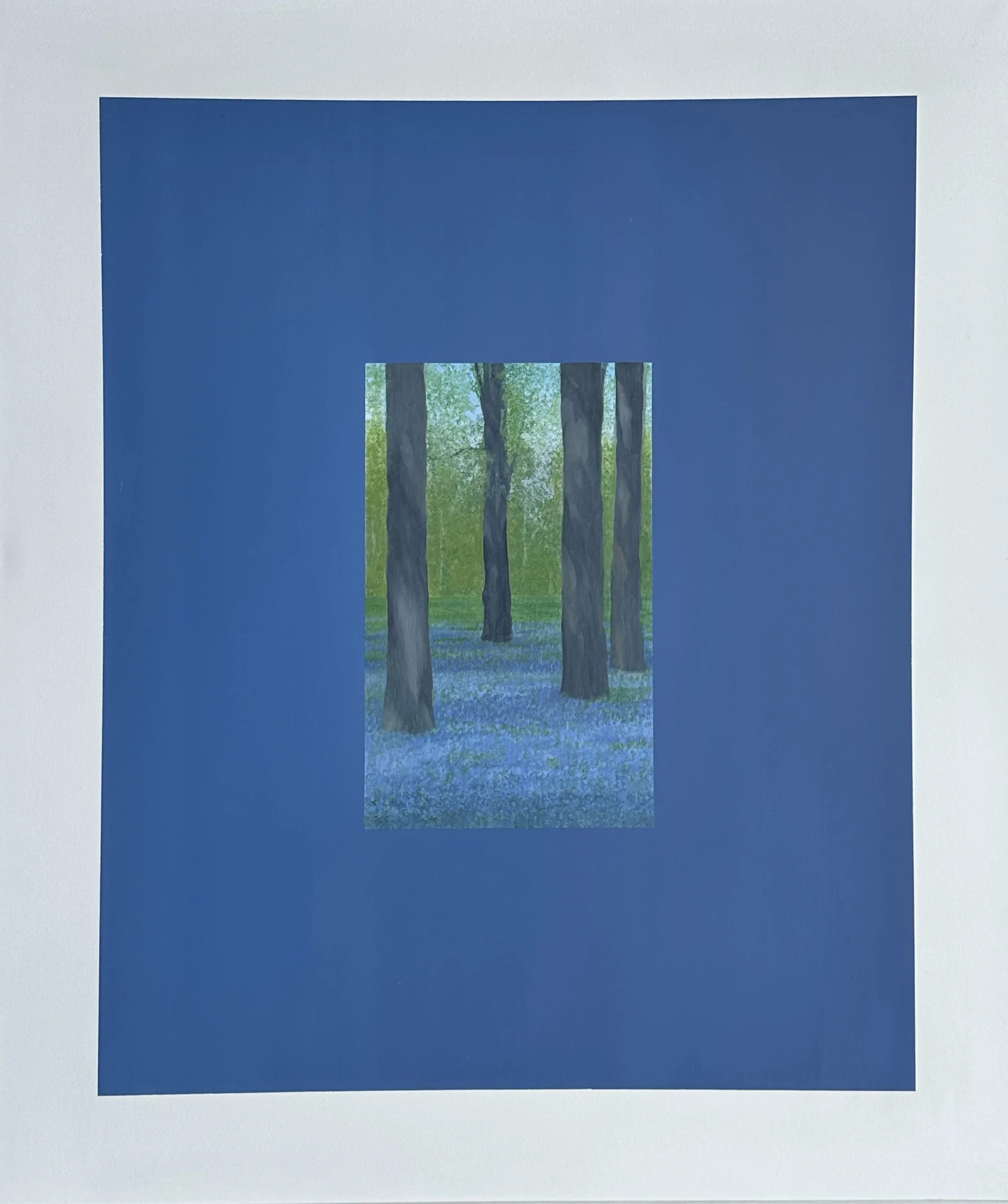 Bluebells: P49 NO DATE SOLD
