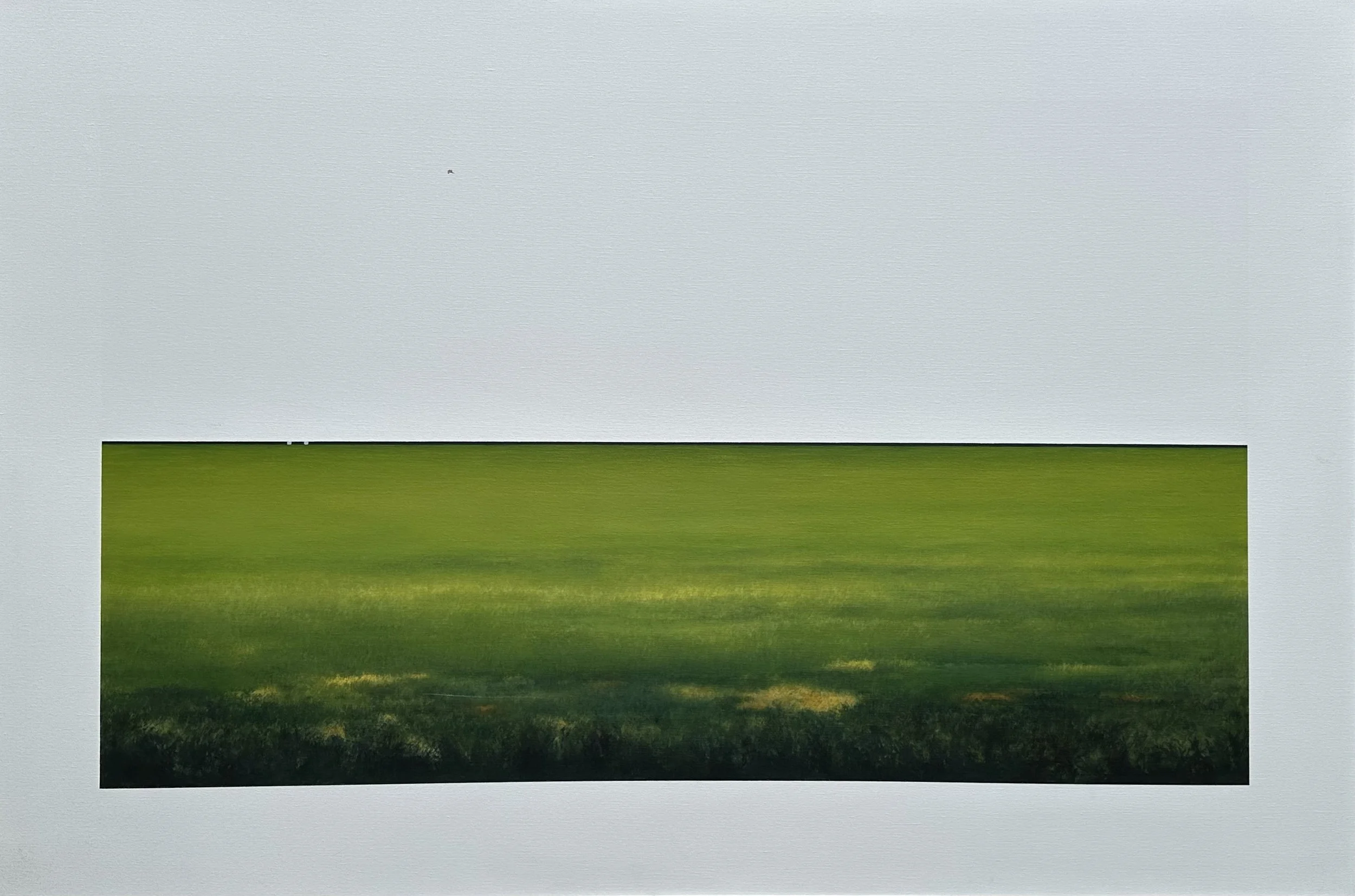 Landscape Duet; Looking at Field Oblivious of Sky: P17