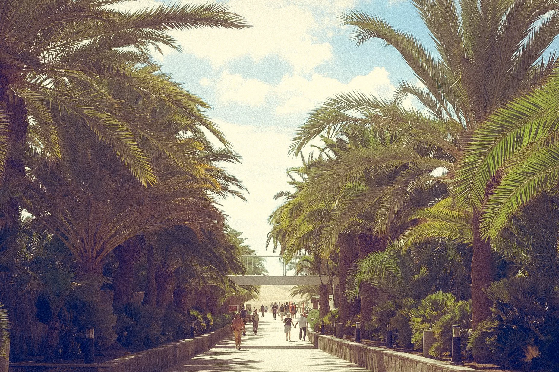 Überwintern in Europa?