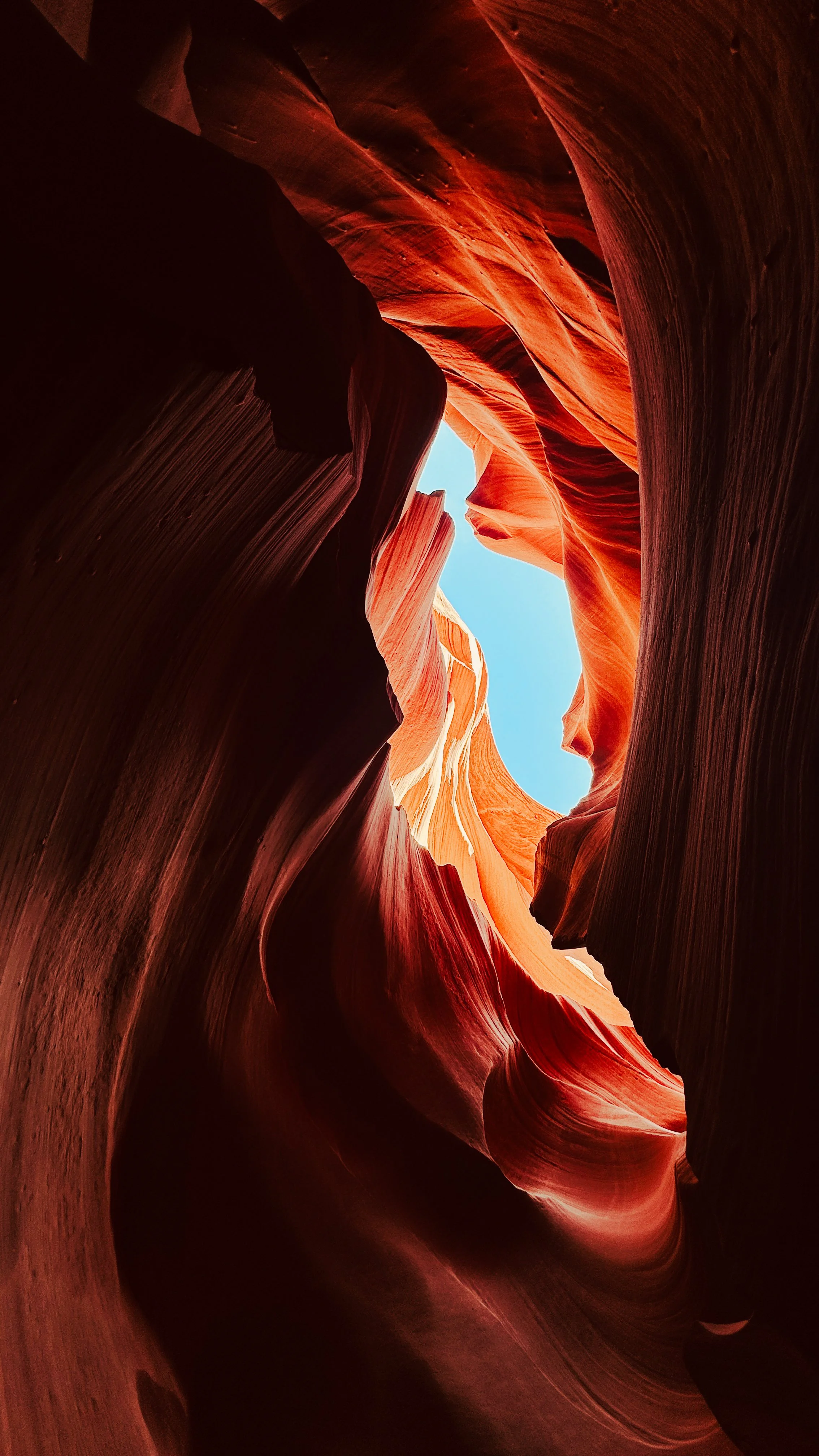 20240922_190750665_iOS 1.jpg