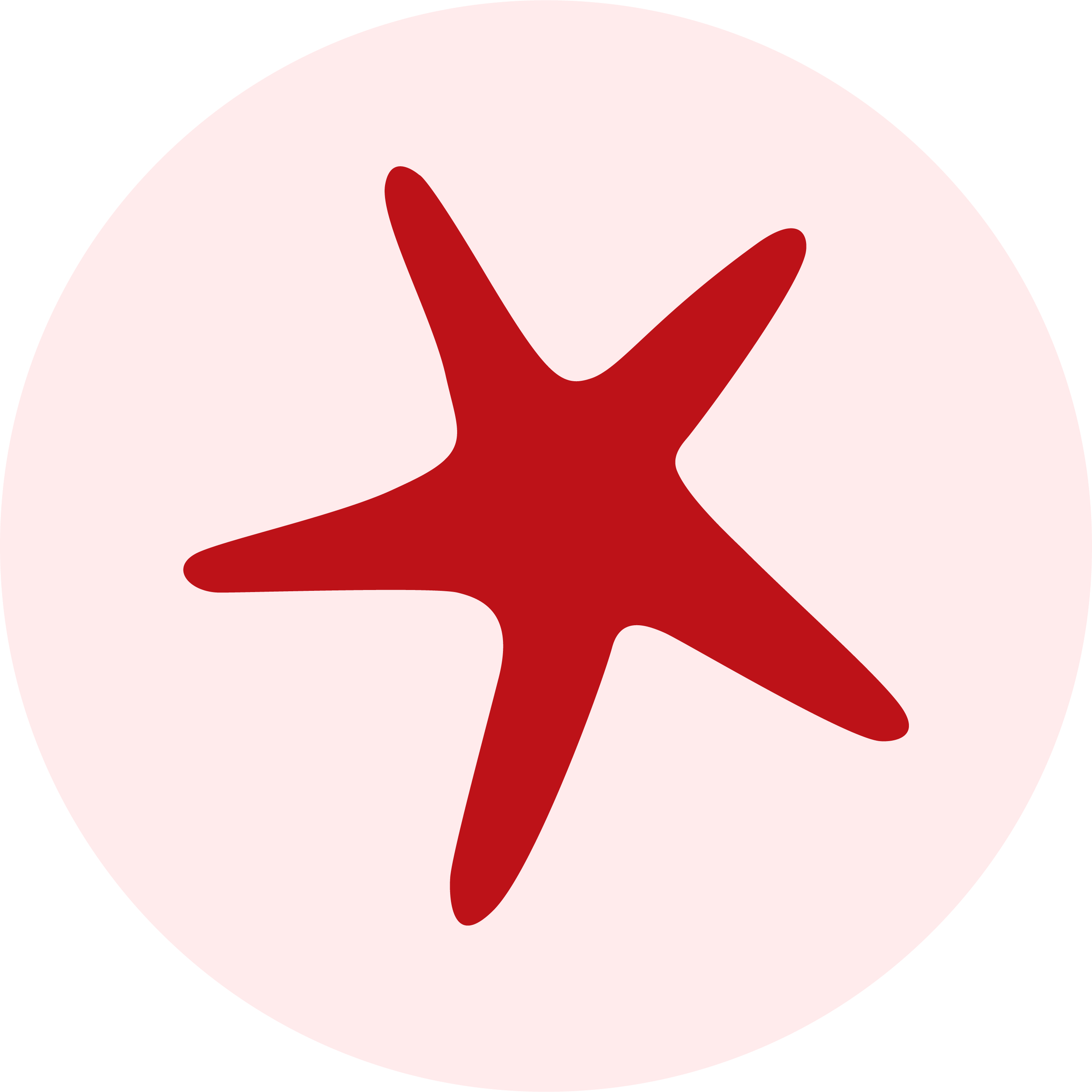 A red starfish on a pale pink circular background.