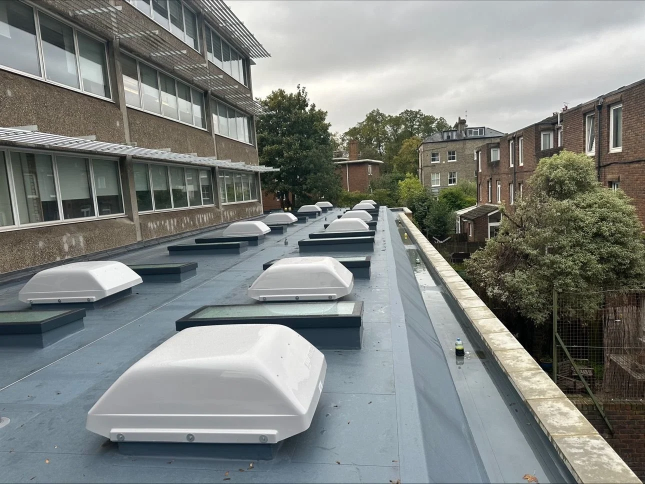 professional roofing