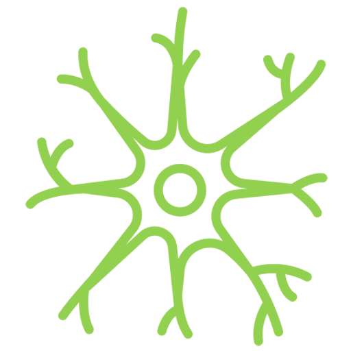 The Brain & Neuroplasticity