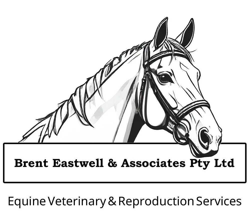 Brent Eastwell &amp; Associates Pty Ltd