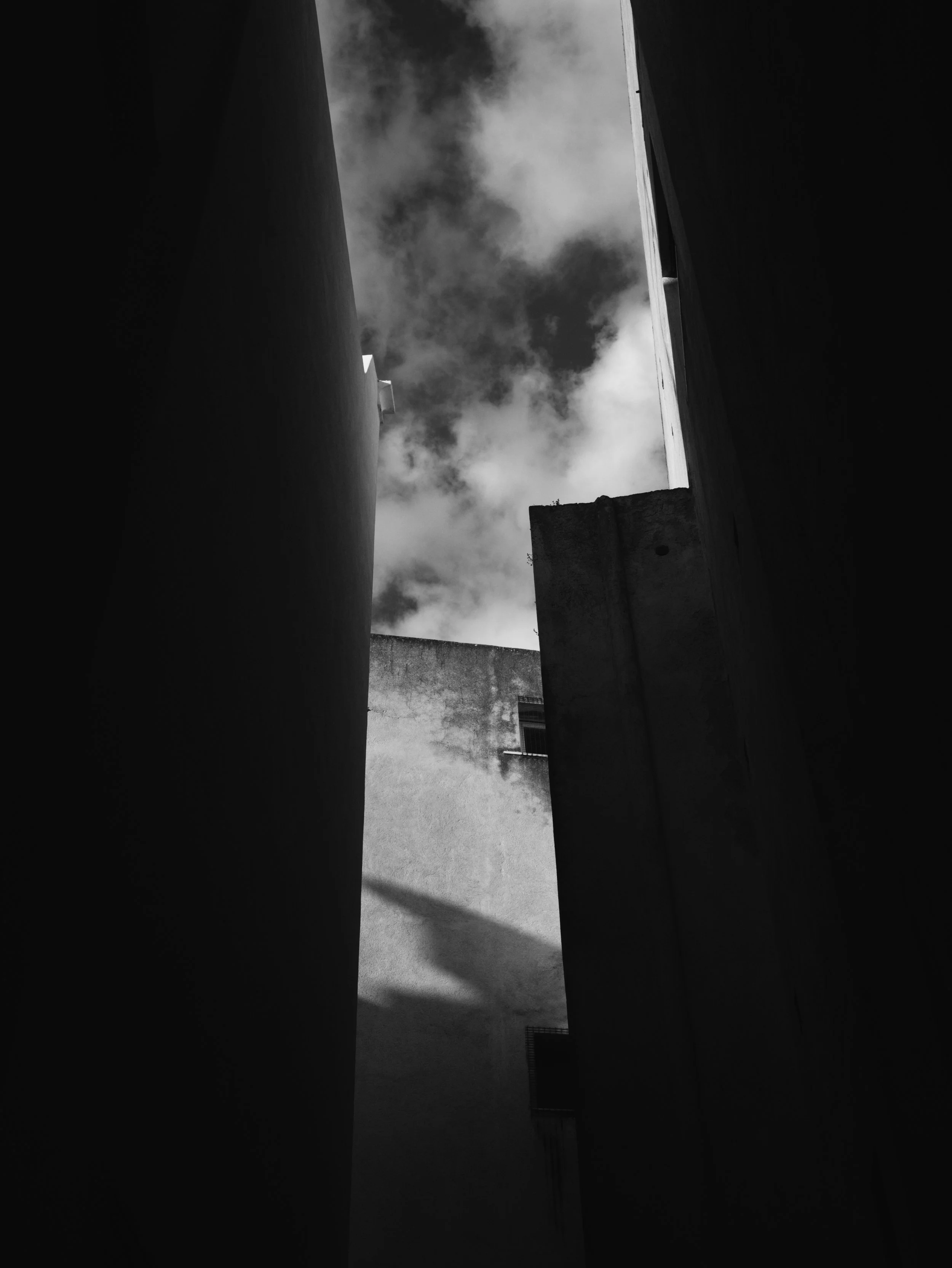 P2040791_Marina Caputo.jpg