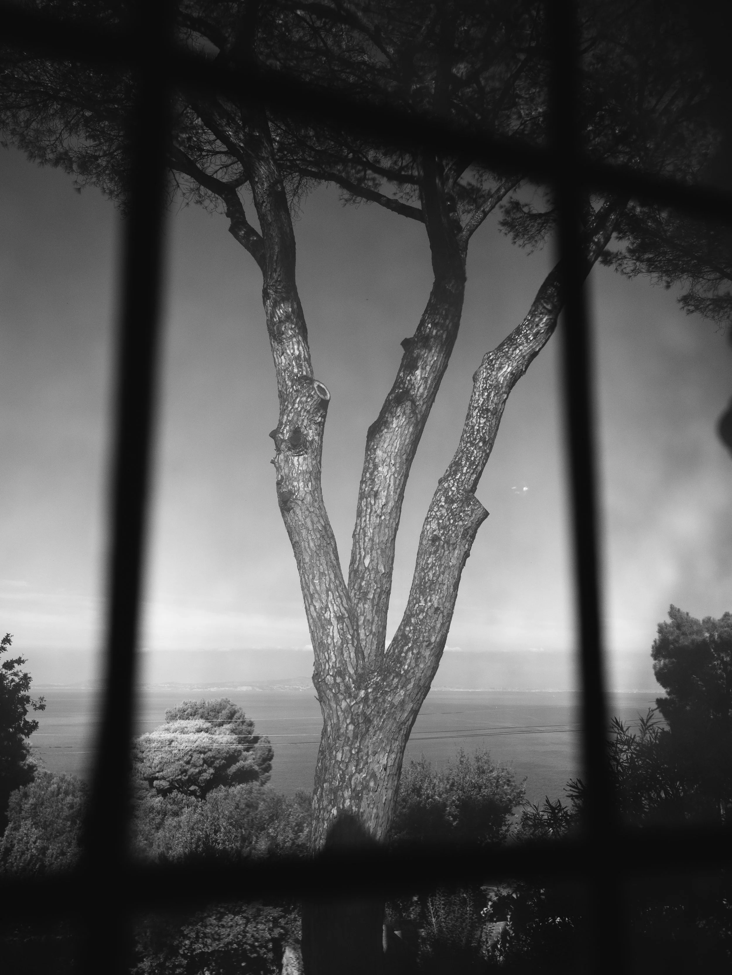 P2040995_Marina Caputo.jpg