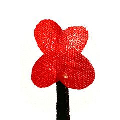 The symbolism of Eternal Life