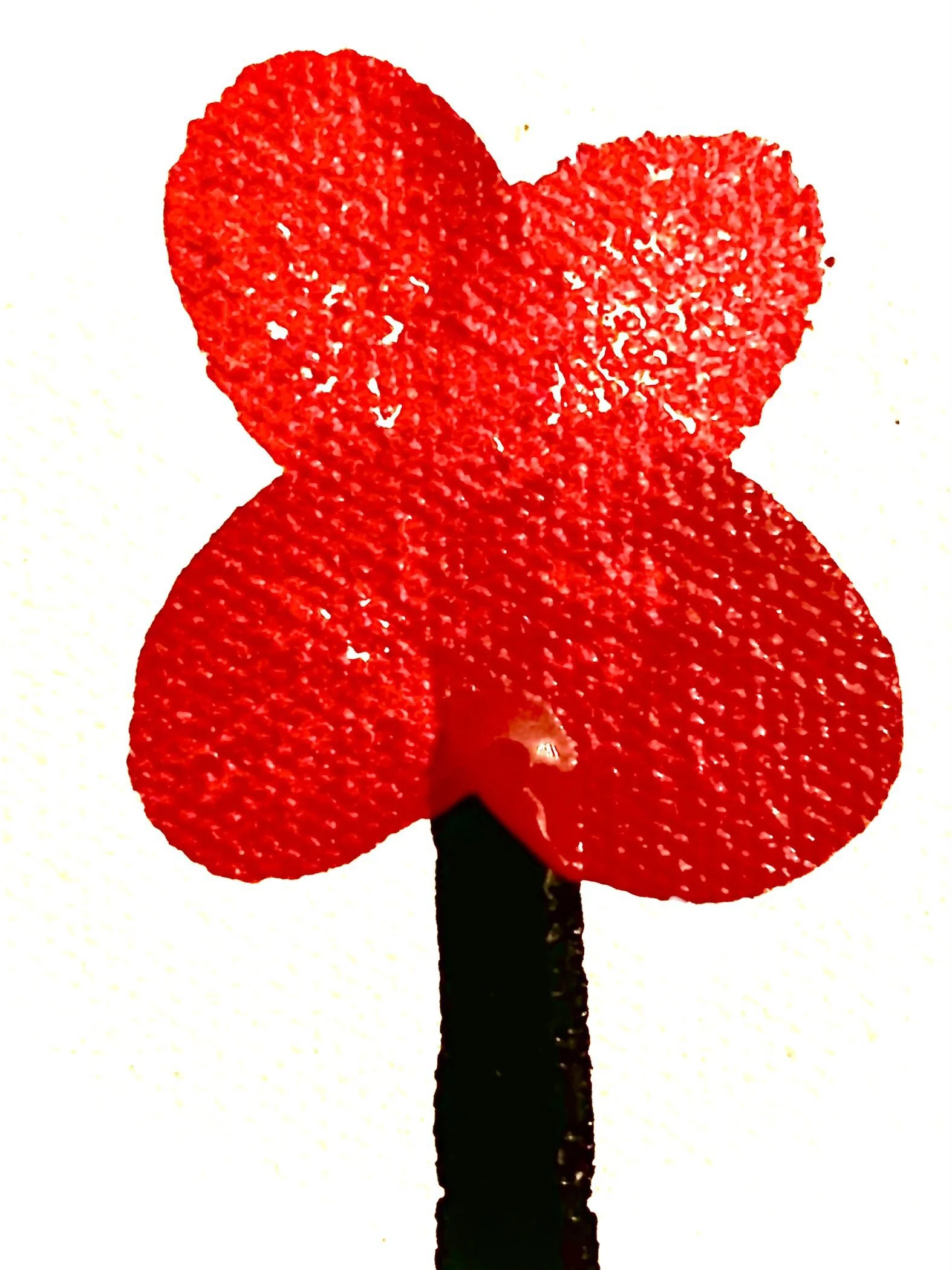 Stage Performance
 
STILL ALIVE and KICKING
 
Edinburgh Fringe from 19th August
 
 - click image to view site - 