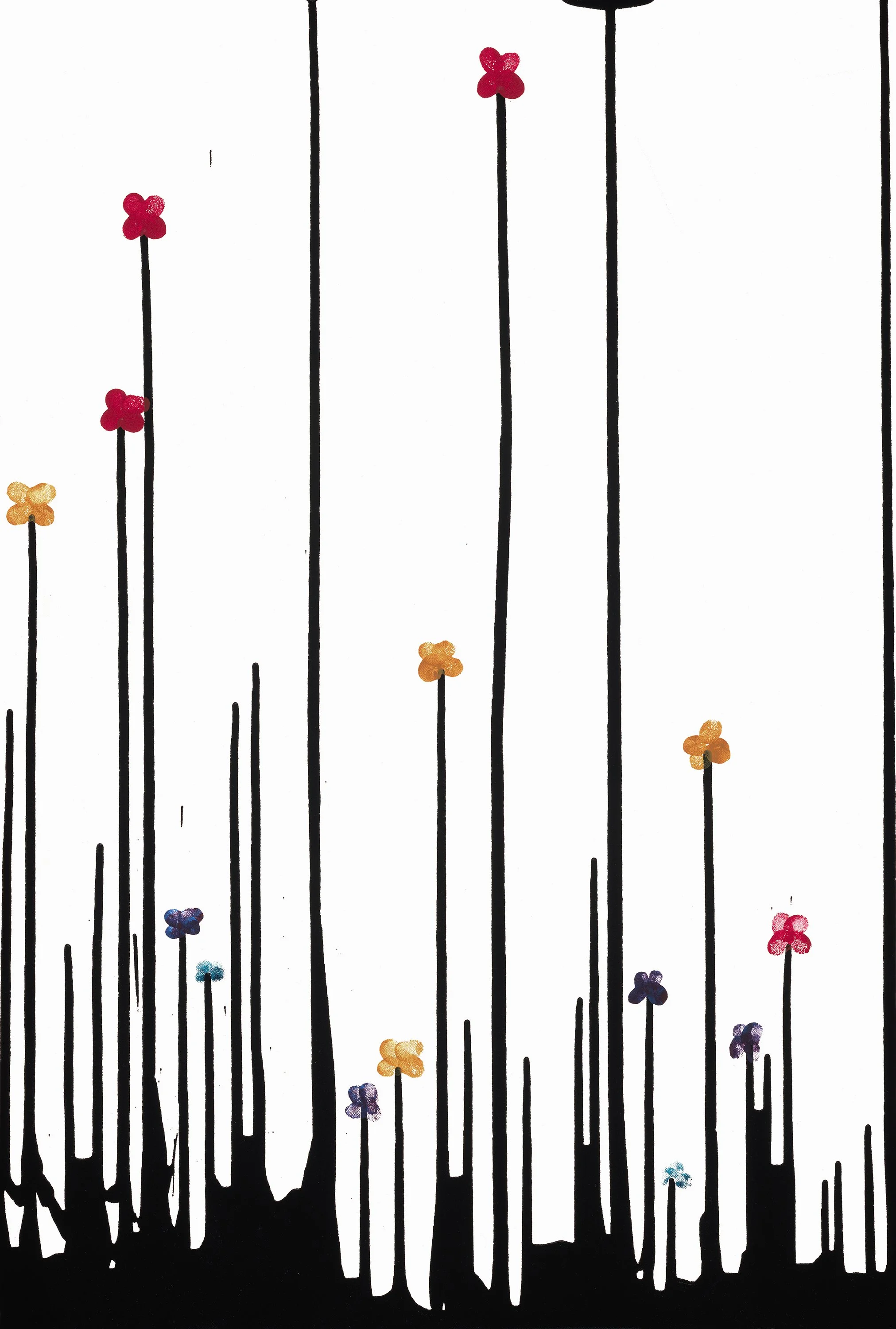 Brilliant Tall Poppy