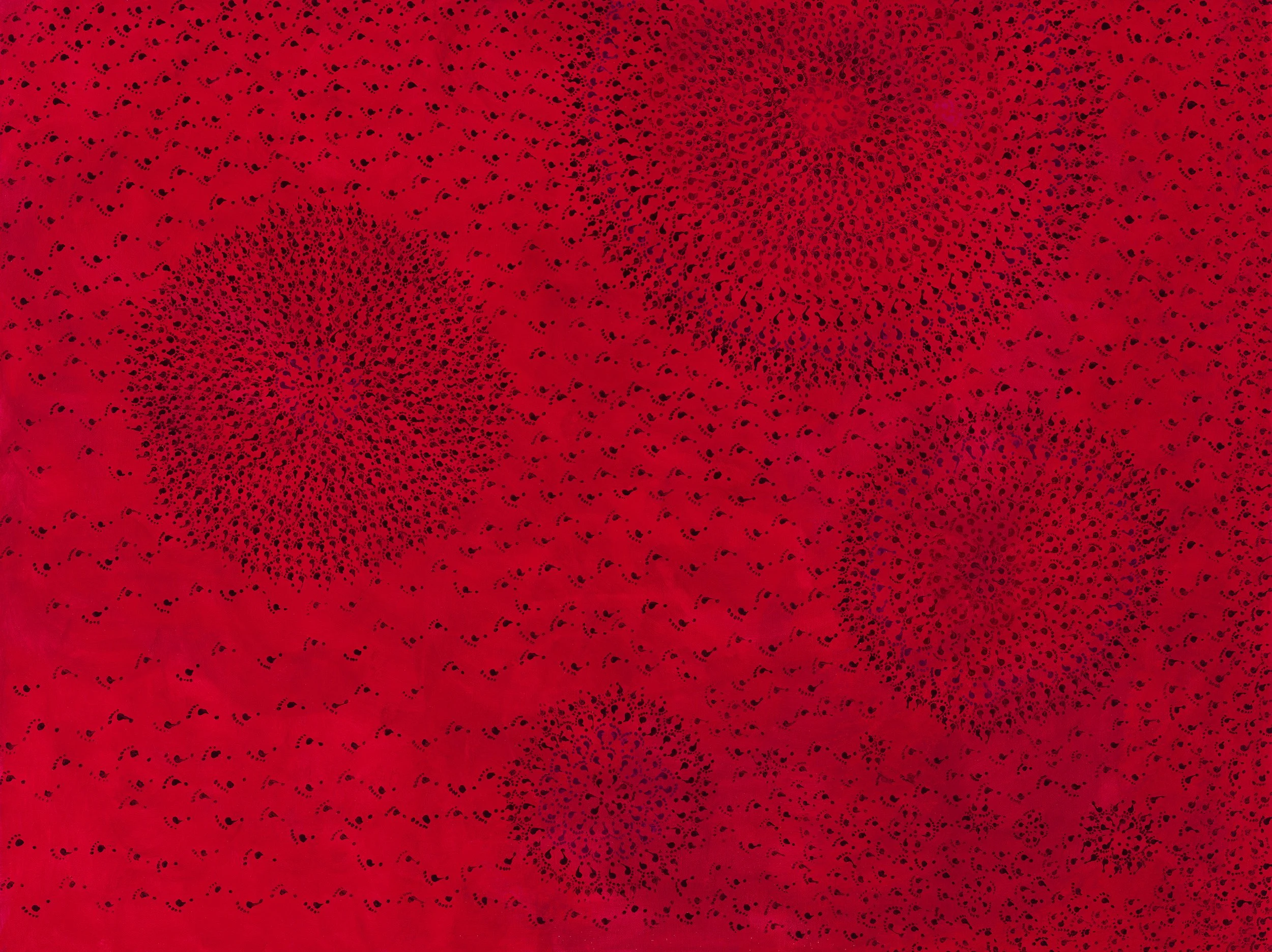 'We All Bleed the Same'