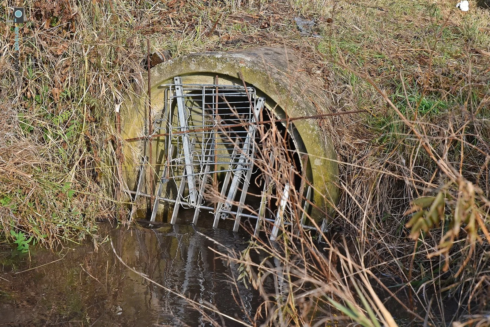 2025-12-02 Landschaftspark Tappertaue 060-RZL.JPG