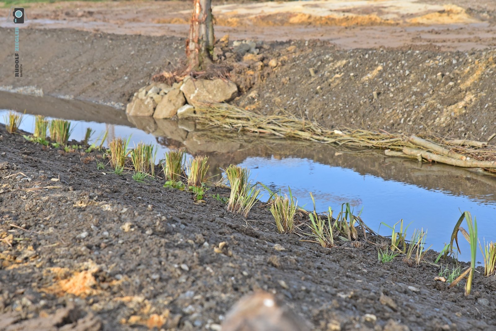 2025-12-02 Landschaftspark Tappertaue 067-RZL.JPG